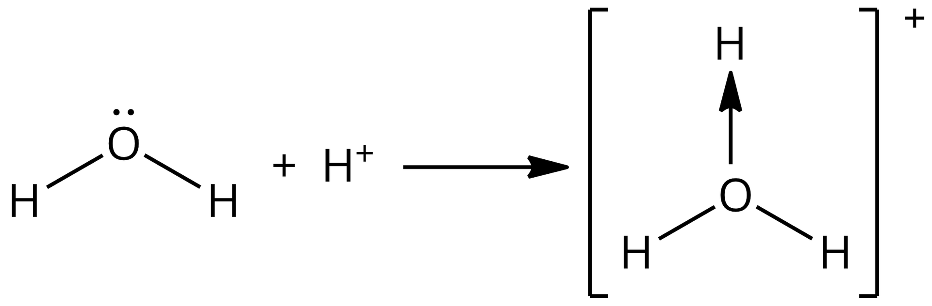 Na schemacie jest zapis reakcji. Pierwszy związek biorący udział w reakcji to woda. Atom tlenu znajduje się w centralnej części cząsteczki, dwa atomy wodoru połączone są z nim wiązaniami wodorowymi. Atomy wodoru rozmieszczone są jeden po lewej drugi po prawej stronie atomu tlenu. Nad atomem tlenu umieszczono dwie kropki. Cząsteczka wody łączy się z kationem wodoru. W wyniku reakcji powstał kation oksoniowy. Wzór jest umieszczony w nawiasie kwadratowym: atom tlenu, położony w centrum, łączy się z trzema atomami wodoru. od atomu tlenu od atomu wodoru położonego nad atomem tlenu biegnie strzałka. 