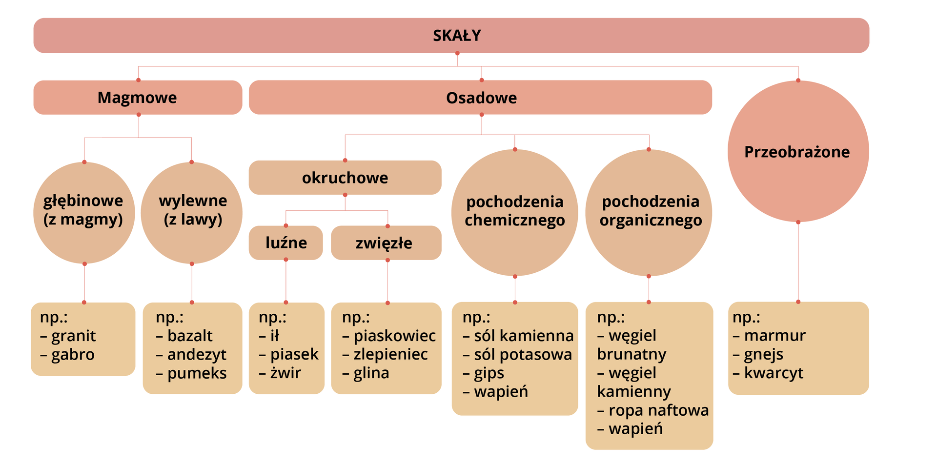 Schemat prezentujący podział skał ze względu na sposób powstania. Skały dzielą się na magmowe, osadowe i przeobrażone. Magmowe dzielą się na głębinowe (z magmy), np. granit, gabro oraz na wylewne (z lawy), np. bazalt, andezyt, pumeks. Skały osadowe dzielą się na okruchowe, pochodzenia chemicznego i pochodzenia organicznego. Skały okruchowe dzielą się na luźne (ił, piasek, żwir) i zwięzłe (piaskowiec, zlepieniec, glina). Skały pochodzenia chemicznego to np. sól kamienna, sól potasowa, gips, wapień. Skały pochodzenia organicznego to np. węgiel brunatny, węgiel kamienny, ropa naftowa, wapień. Skały przeobrażone to np. marmur, gnejs, kwarcyt.