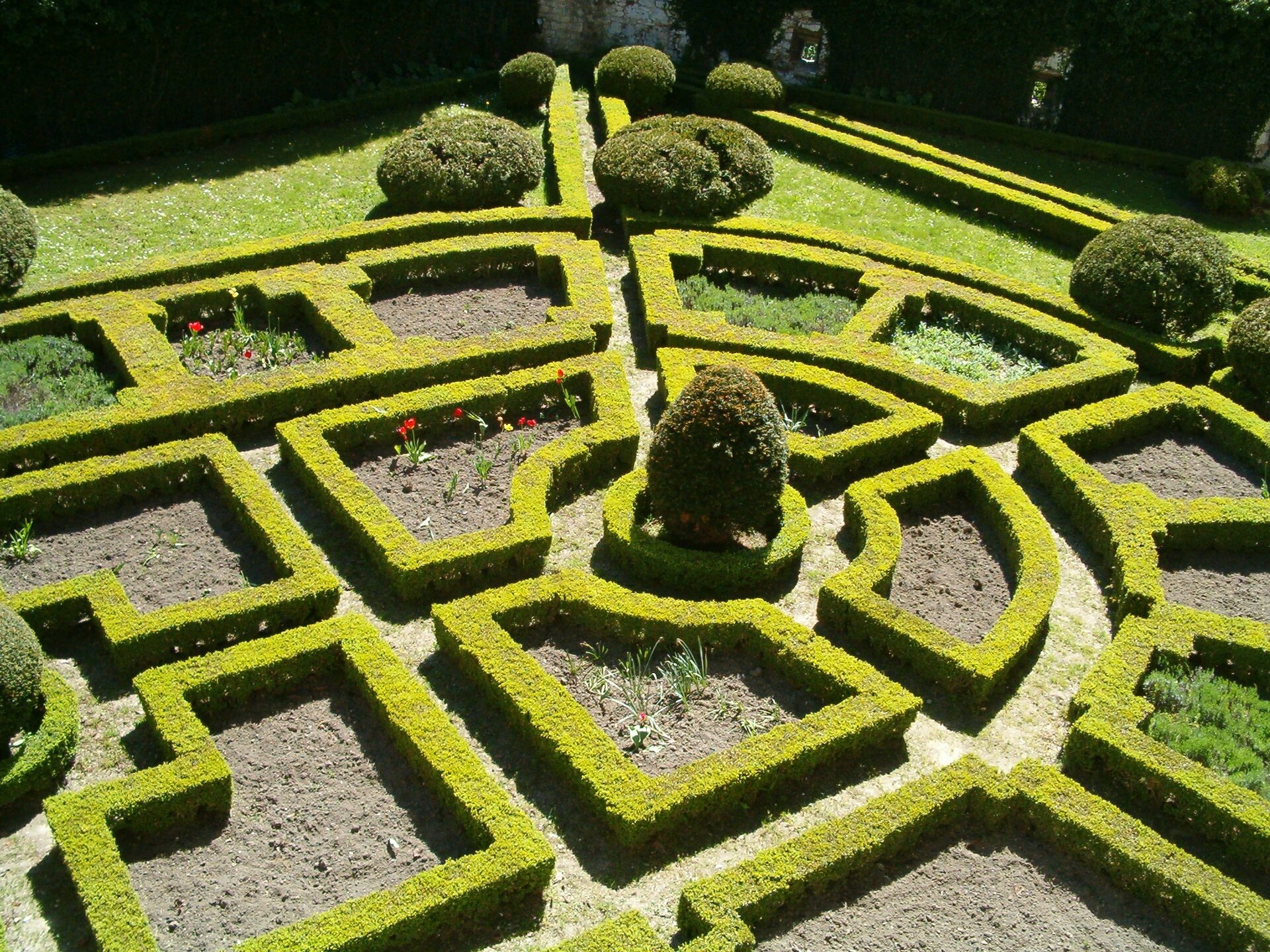 Fotografia przedstawia współczesne ogrody zamku Pieskowa Skała. Uwagę zwracają regularnie przystrzyżone krzewy, które przybierają postać figur geometrycznych. Ułożone blisko siebie tworzą kształt m.in. łuku, koła. W tym oststnim, posadzonym w środku widocznego fragmentu ogrodu, zasadzono krzew. Krzewy widoczne także w innych miejscach ogrodu.