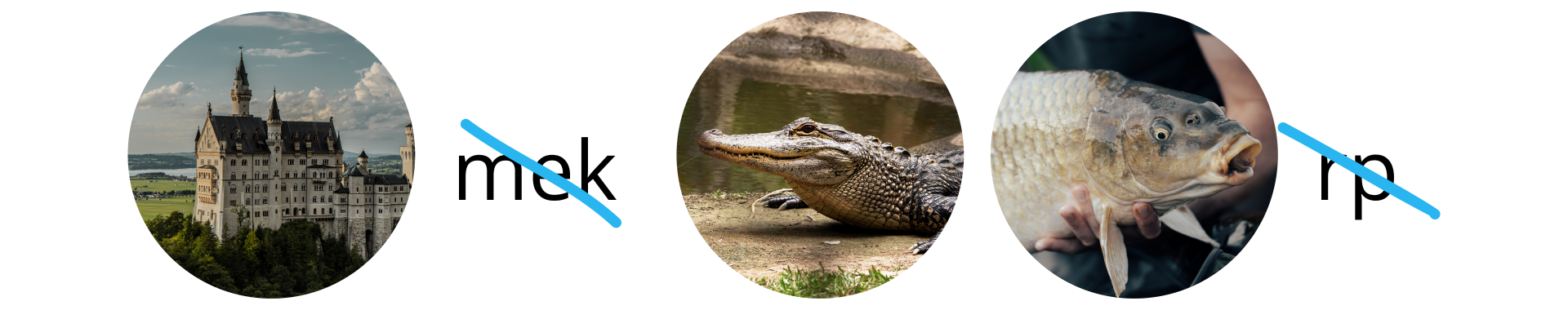 Ilustracja przedstawia rebus. Kolejno przedstawia zamek, skreślone literki mek, zdjęcie gada, zdjęcie karpia i skreślone litery rp. 