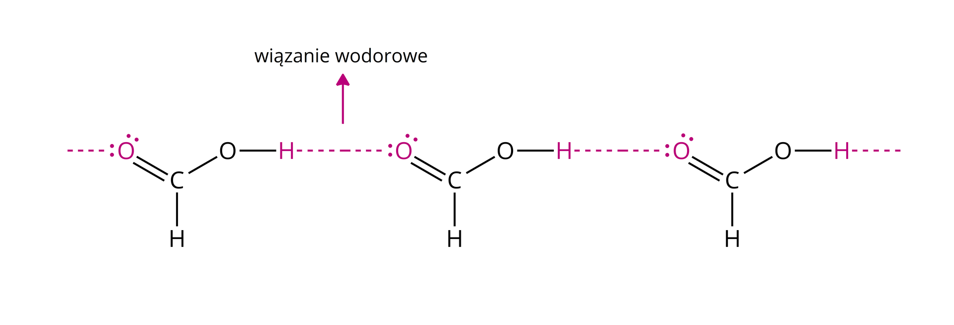 Ilustracja przedstawiająca asocjację trzech cząsteczek kwasu mrówkowego za pomocą wiązań wodorowych. Pierwsze wiązanie wodorowe odchodzi od atomu tlenu związanego za pomocą wiązania podwójnego z atomem węgla i skierowane jest poza płaszczyznę. Wodór grupy hydroksylowej OH wspomnianej cząsteczki kwasu mrówkowego łączy się za pomocą wiązania wodorowego, to jest przerywanej linii z atomem tlenu drugiej cząsteczki kwasu mrówkowego związanym z atomem węgla za pomocą wiązania podwójnego. Atom wodoru grupy hydroksylowej OH należącej do drugiej cząsteczki kwasu związany jest za pomocą wiązania wodorowego z atomem tlenu trzeciej cząsteczki, który to łączy się za pomocą wiązania podwójnego z atomem węgla. Od atomu wodoru grupy OH trzeciej cząsteczki kwasu poprowadzone jest wiązanie wodorowe, to jest przerywana linia poza płaszczyznę rysunku.
