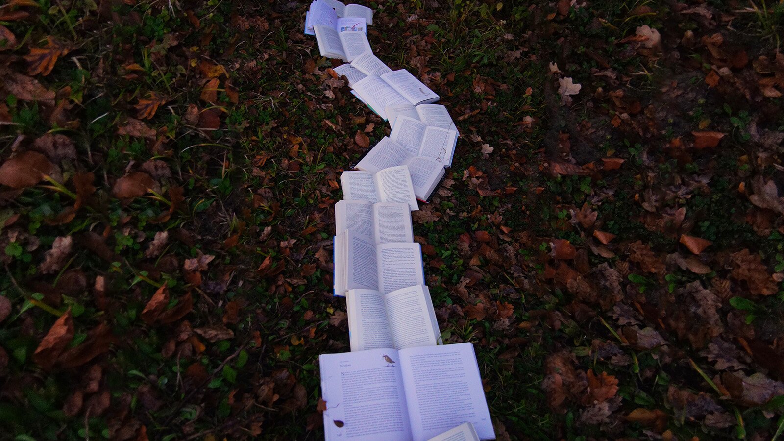 Zdjęcie ukazuje zielone podłoże z jesiennymi, brązowymi liśćmi, na którym leży wiele otwartych książek. Książki ułożone jedna nad drugą tworzą lekko skręcającą ścieżkę. 