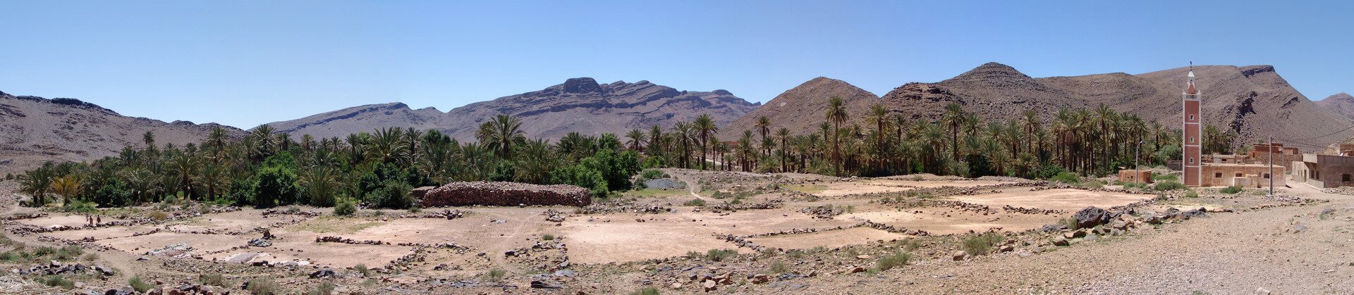 Fotografia prezentuje panoramę oazy na pustyni kamienistej w Maroku. Widoczne liczne wysokie palmy na tle gór. Na pierwszym planie kwadraty i prostokąty żółtobrązowej ziemi otoczone niskimi murkami z kamieni.