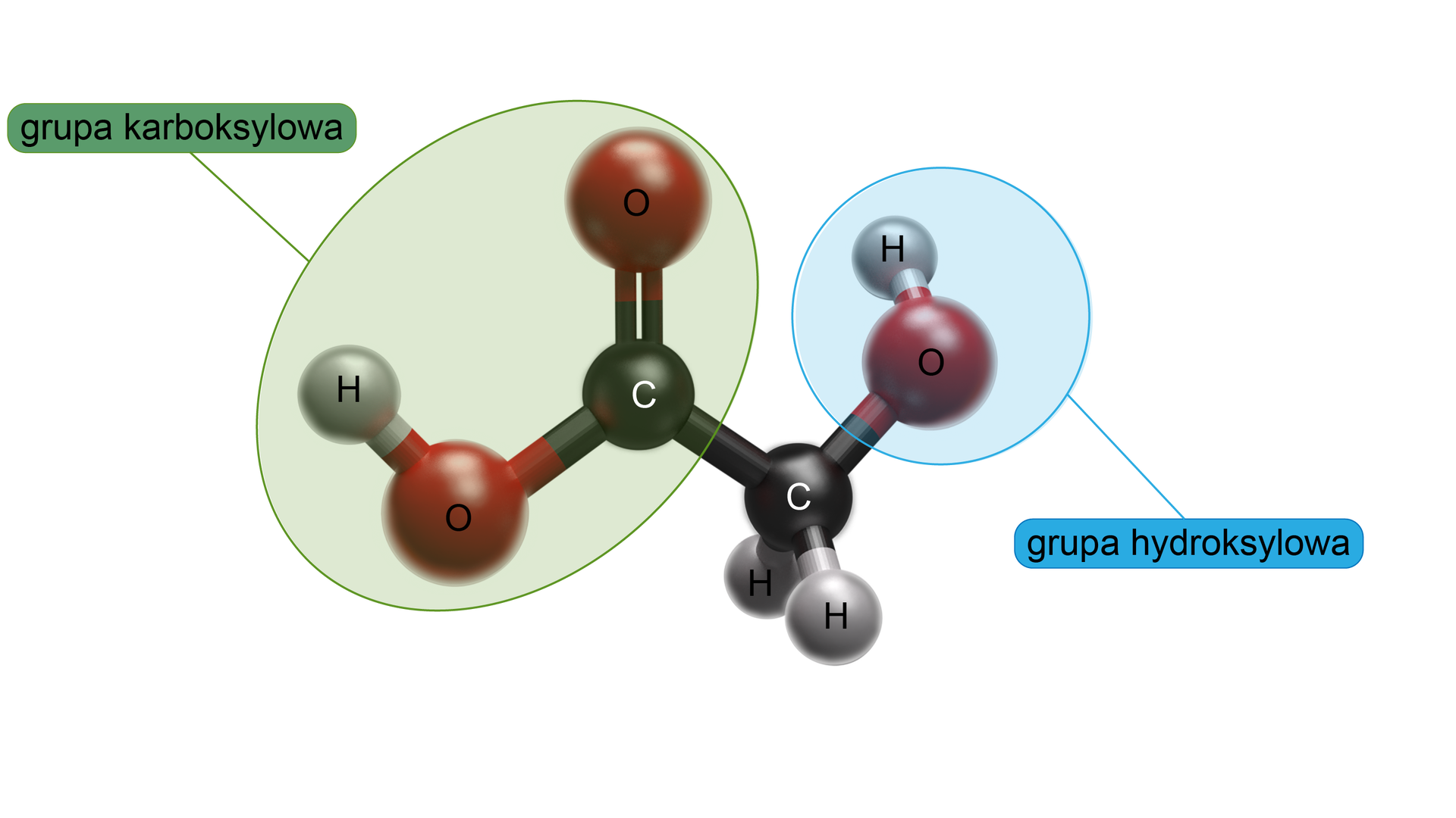 Na ilustracji jest model kwasu hydroksyoctowego. W modelu kwasu hydroksyoctowego zaznaczono grupę karboksylową COOH oraz hydroksylową OH. 