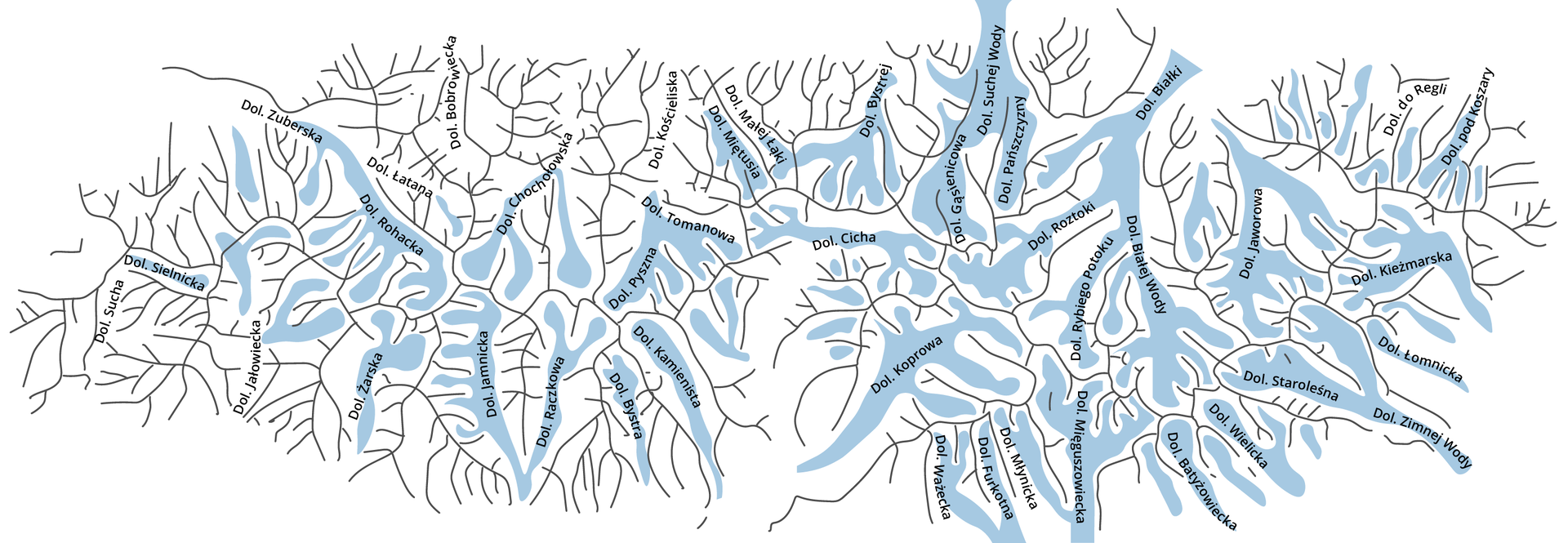 Na mapie Tatr zaznaczono liczne doliny. Większość dolin zaznaczono kolorem jasnoniebieskim, co obrazuje znajdujące się tam lodowce. Doliny, w których są lodowce, opis od lewej strony do prawej - Dolina Sielnicka, Dolina Rohacka, Dolina Żarska, Dolina Chochołowska, Dolina Żarska, Dolina Jamnicka, Raczkowa, Bystra, Pyszna, Kamienista, Tomanowa, Miętusia, Cicha, Koprowa, Małej Łąki, Bystrej, Ważcka, Furkotna, Młynicka, Gąsienicowa, Suchej Wody, Pańszczyzny, Roztoki, Rybiego Potoku, Białej Wody, Białki, MIęguszowiecka, Jaworowa, Wielicka, Batyżowiecka, Staroleśna, Kieżmarska, Zimnej Wody, Łomnicka, Dolina pod Koszary. Doliny, w których brak lodowca: Dolina Sucha, Jałowiecka, Łatana, Bobrowiecka, Kościeliska, część Małej Łąki, Dolina do Regli.      