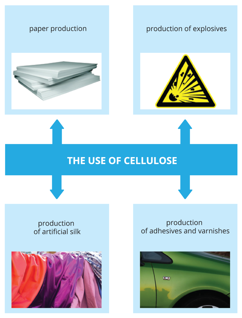 Schemat z ilustracjami prezentuje, do czego używamy celulozy (the use of cellulose): do produkcji papieru (paper production), do produkcji materiałów wybuchowych (production of explosives), do produkcji sztucznego jedwabiu (production of artificial silk), do produkcji klejów i lakierów (production of adhesives and varnishes).