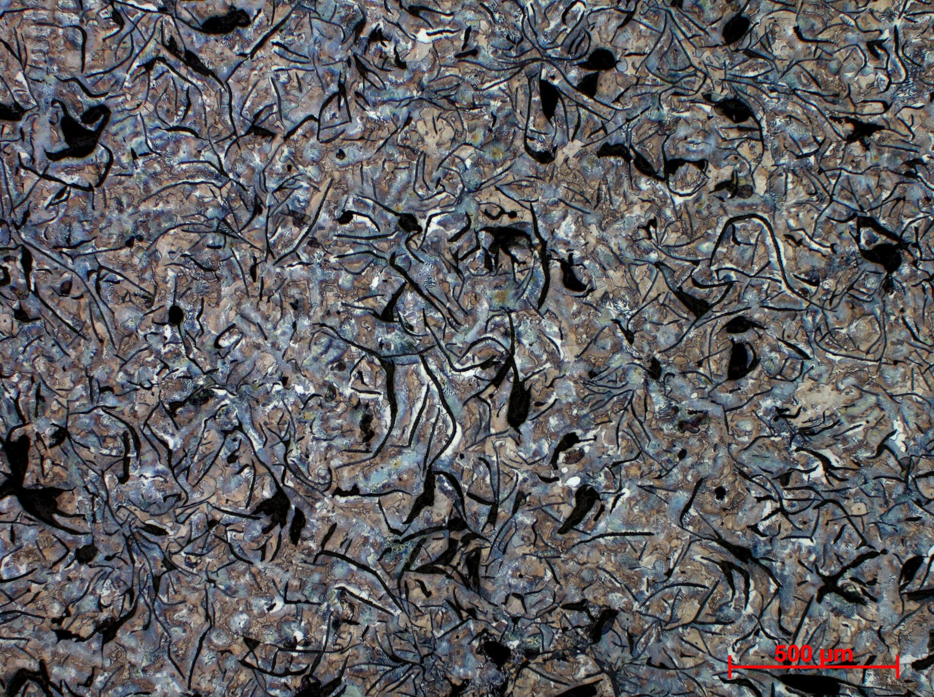 Żeliwo szare zwykłe
Osnowa perlityczna z grafitem płatkowym - powiększenie 5x