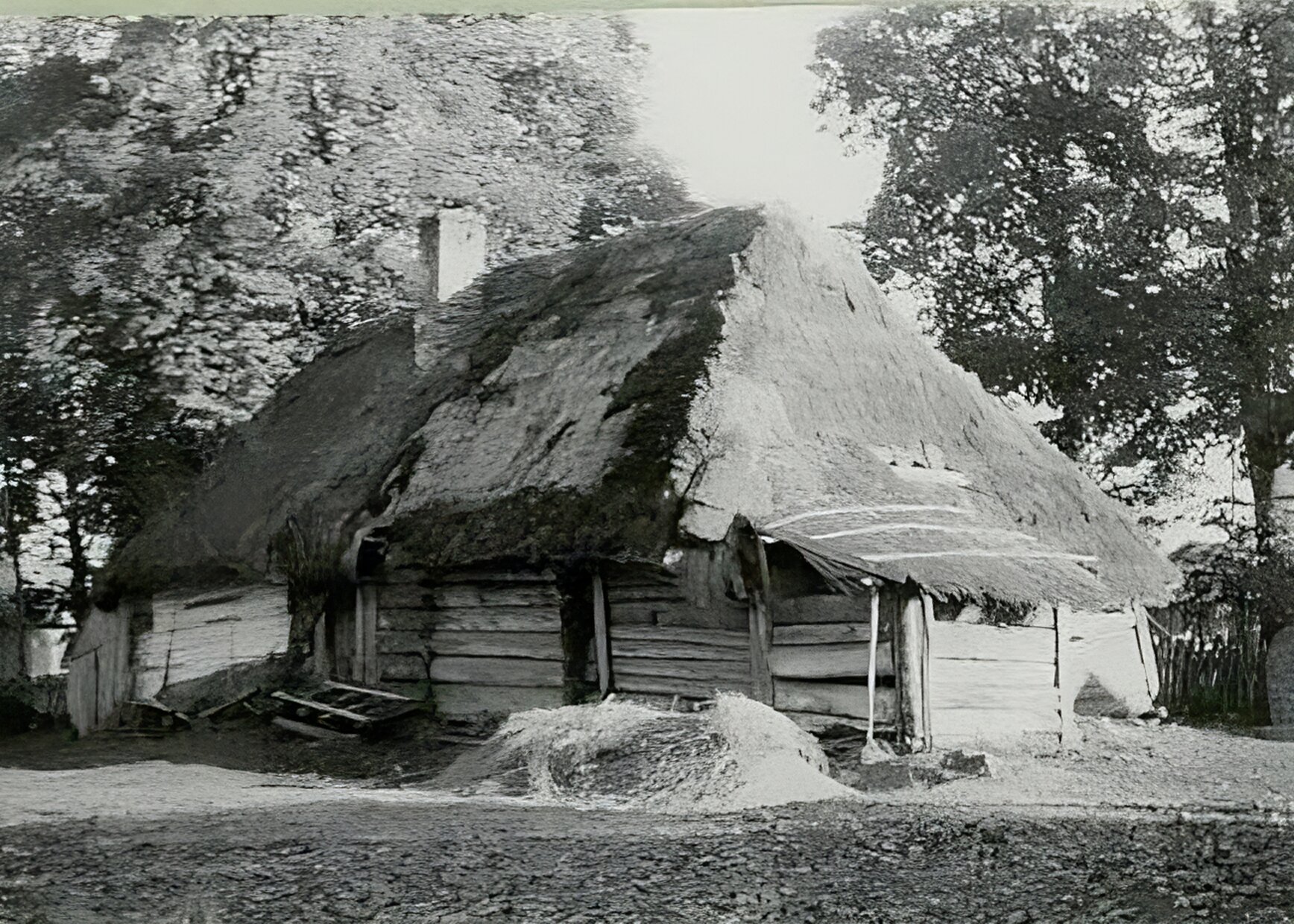 Zdjęcie przedstawia krytą strzechą drewnianą chałupę wiejską z dobudówką gospodarczą. Dom jest konstrukcji zrębowej, na planie prostokąta, kryty czterospadowym dachem z kominem. Przed domem zrzucone jest siano. W tle po obu stronach chaty widać  wysokie drzewa i drewniany płot.