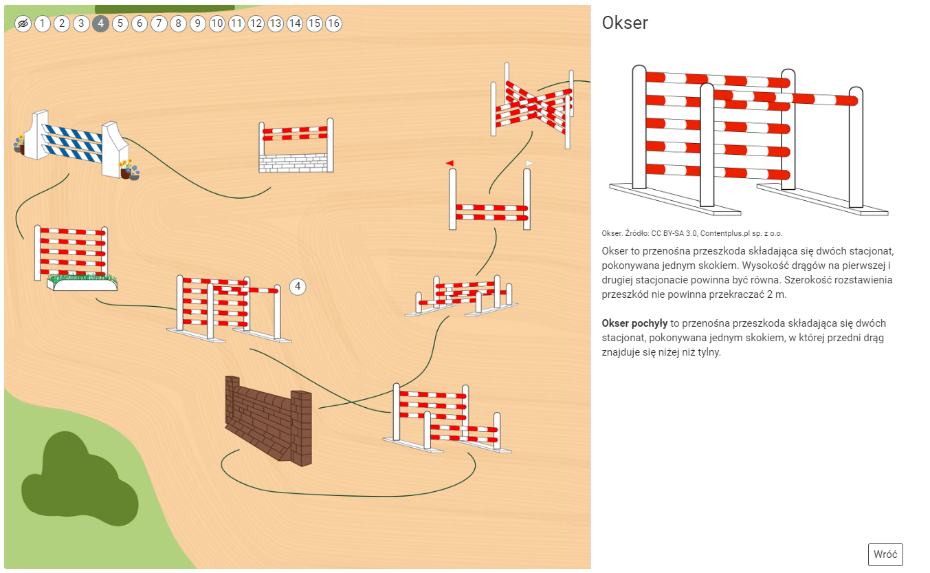 Na grafice widoczny jest punkt czwarty, który zawiera grafikę oksera oraz informacje na jego temat.