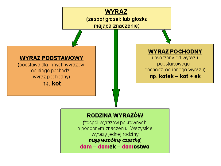 Schemat przedstawia słowotwórczy podział wyrazów, składa się z czterech prostokątów z informacjami. W pierwszym prostokącie znajduje się następująca informacja: zespół głosek lub głoska mająca znaczenie. Od tego prostokąta wychodzą trzy strzałki do następnych infomacji. Informacje w prostokącie z lewej: wyraz podstawowy, podstawa dla  innych wyrazów. od niego pochodzi wyraz pochodny na przykład kot. Informacje w prostokącie z prawej: wyraz pochodny utworzony od wyrazu podstawowego, pochodzi od innego wyrazu na przykład kotek - kot+ek. Prostokąt umieszczony najniżej, na środku zawiera informacje: rodzina wyrazów zespół wyrazów pokrewnych o podobnym znaczeniu. Wszystkie wyrazy jednej rodziny mają wspólną cząstkę na przykład dom, domek domostwo.
