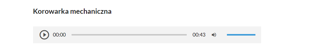 Grafika przedstawia przykładowy widok odtwarzacza audio. W szarej ramce znajdują się: przycisk odtwarzania lub zatrzymania, informacje o długości nagrania, pasek postępu, ikona głośnika służąca do regulacji poziomu głośności oraz pasek poziomu głośności.