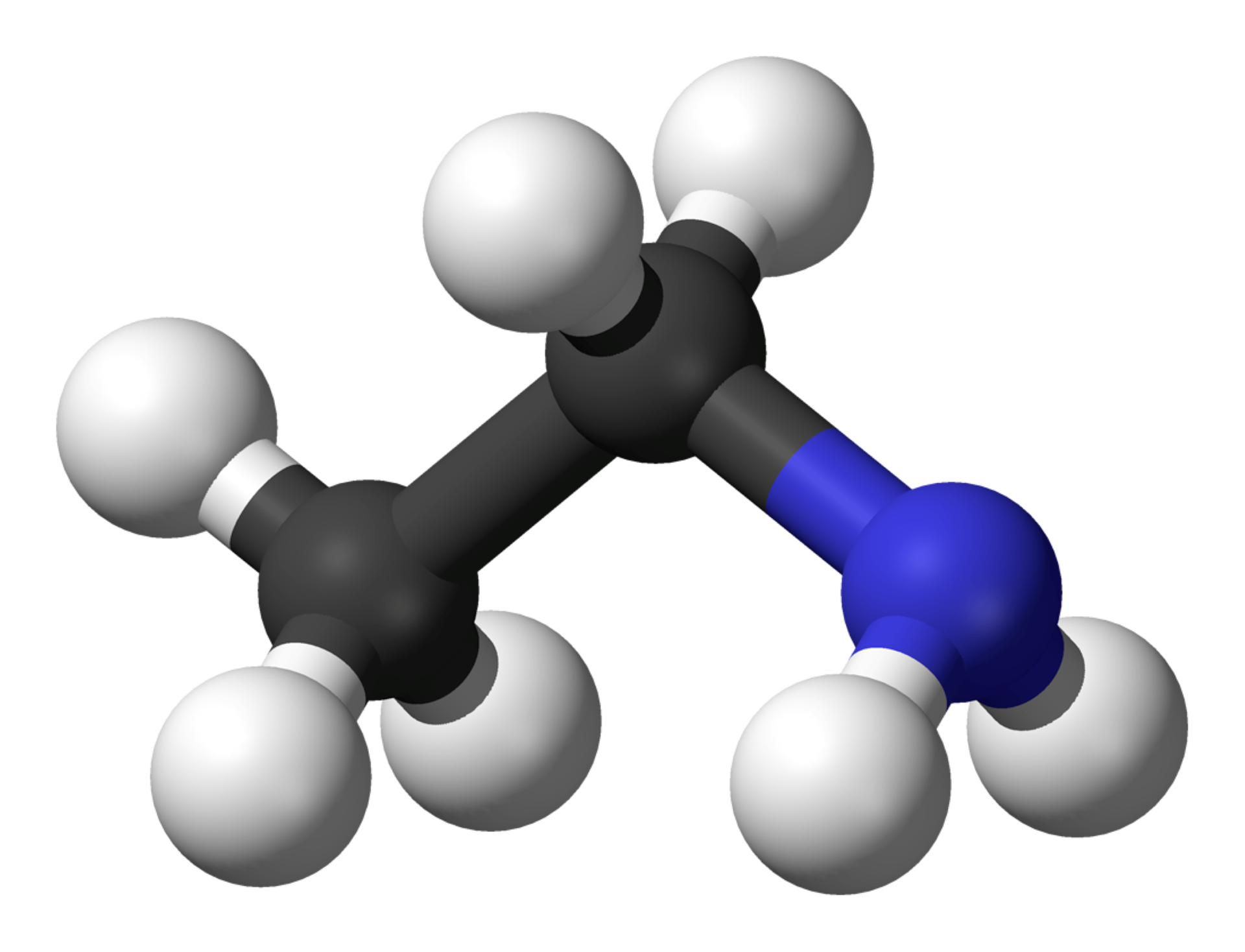 Na ilustracji jest model kulkowy aminy alifatycznej, etyloaminy. Atomy węgla to kulki czarne, wodoru szare, a atom azotu to kulka niebieska. Kulki łączą się ze sobą grubymi liniami. Do czarnej kulki przyłączone są dwie szare, jedna niebieska z przyłączonymi dwiema szarymi oraz jedna czarna z przyłączonymi trzema szarymi.