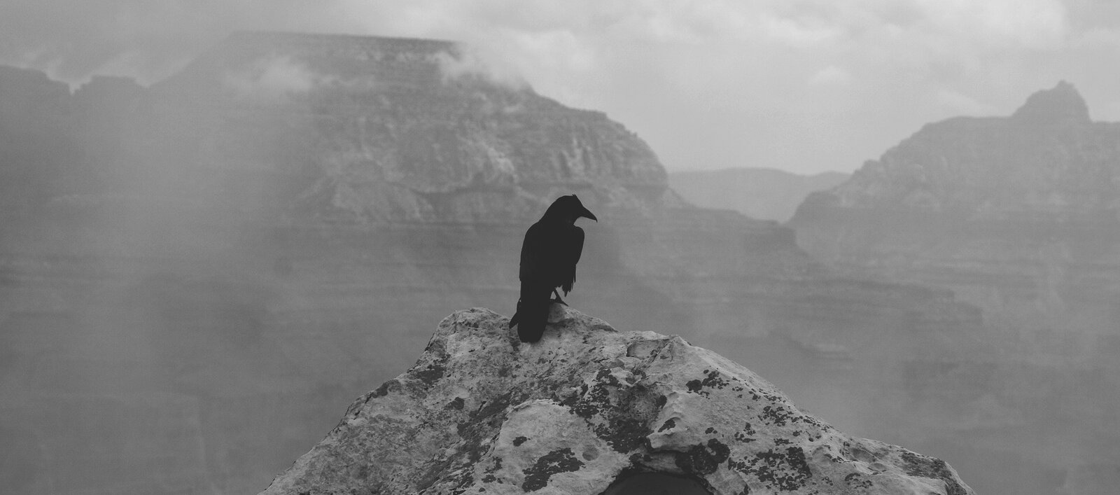 Zdjęcie przedstawia czarnego kruka, który siedzi na szczycie skały, jest tyłem do fotografa i spogląda w prawą stronę. Siedzi na szczycie skały. W tle widoczne są wysokie szczyty gór, częściowo przysłonione chmurami. Zdjęcie jest czarno‑białe.