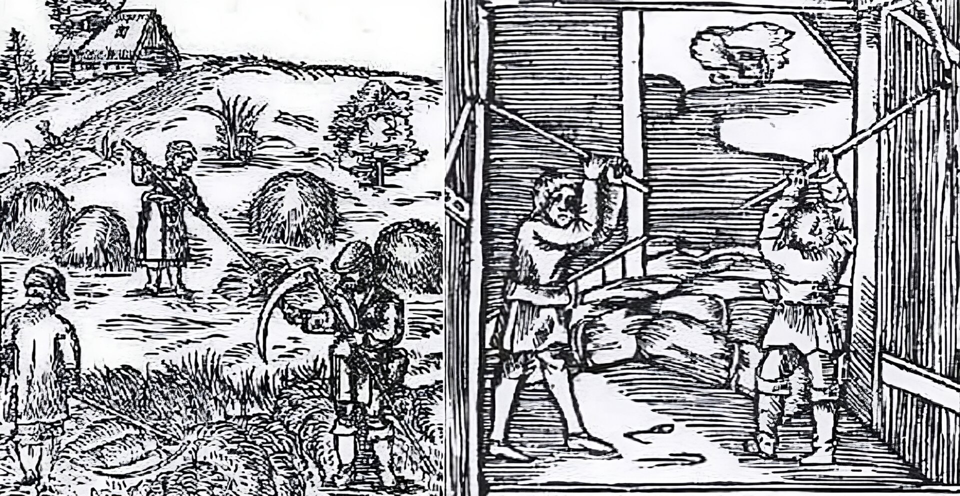 Ilustracja składa się z dwóch obrazków. Obrazek z lewej strony  przedstawia grupę trzech osób na polu w czasie żniw. W tle widoczna jest chata. Spośród tych osób jedna z nich ostrzy kosę, druga grabi siano, trzecia przy pomocy motyki spulchnia ziemię pod uprawę. Obrazek z prawej strony przedstawia dwóch mężczyzn w budynku, którzy przy pomocy cepów młócą zebrane zboże.