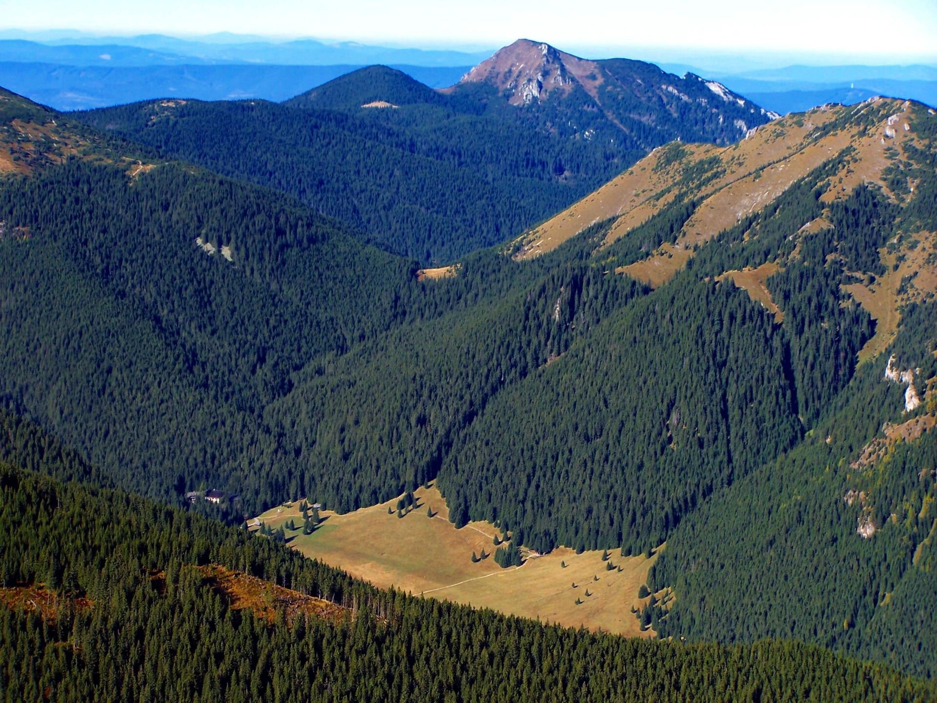Zdjęcie przedstawia Dolinę Chochołowską – najdłuższą i największą dolinę w polskich Tatrach. W górnej części doliny dominują formy geologiczne wytworzone przez lodowiec. Zbocza gór porośnięte są lasem - roślinność zanika wraz ze wzrostem wysokości. W oddali kolejne tatrzańskie szczyty.