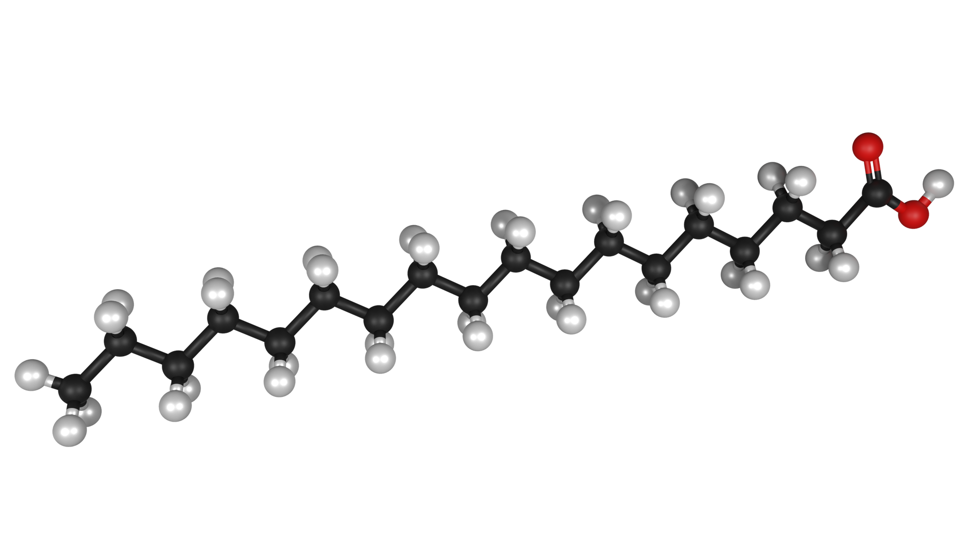 Na ilustracji jest model przestrzenny, pręcikowo‑kulkowy kwasu stearynowego. Model to zygzakowaty łańcuch główny, bez rozgałęzień. Zbudowany jest z 18 atomów węgla (czarne kulki). Skrajny atom węgla po lewej stronie łańcucha łączy się z trzema atomami wodoru. Skrajny atom węgla po prawej stronie łączy się z dwoma atomami tlenu (czerwone kulki). Z jednym z nich łączy się na górze za pomocą wiązania podwójnego, z drugim za pomocą wiązania pojedynczego. Drugi atom węgla łączy się z atomem wodoru. Każdy z pozostałych atomów węgla łączy się z dwoma atomami wodoru (białe kulki).