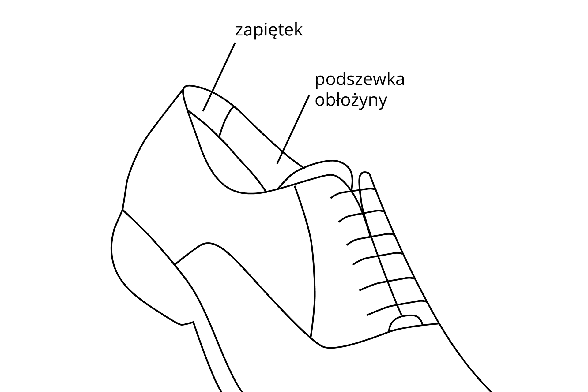 Grafika przedstawia ucięty schemat męskiego buta, pozbawiony czubka. Widoczne jest wnętrze buta, odchodzą od niego dwie linie opisane jako zapiętek oraz podszewka obłożyny.