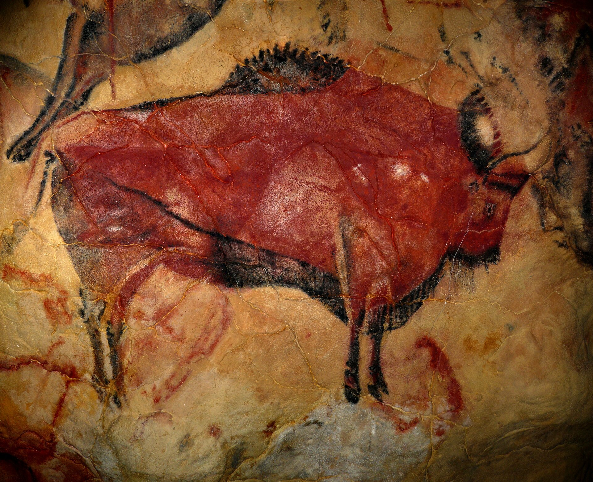 Rysunek na ścianie w jaskini przedstawiający bizona namalowany czerwoną farbą.