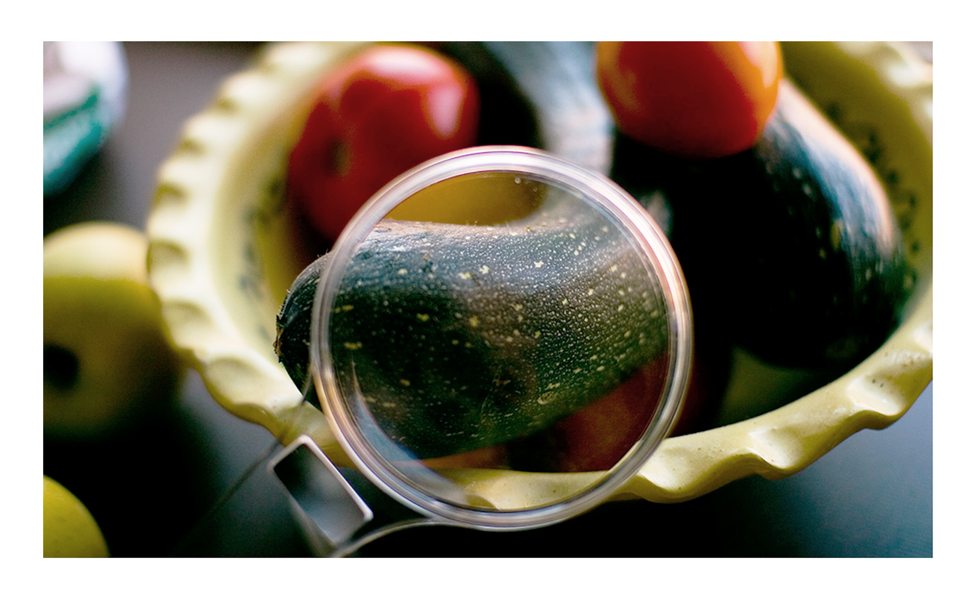 Fotografia przedstawia pomidory i cukinie w miseczce. Do cukinii przybliżono lupę i można zaobserwować powiększony 20 razy fragment ciemnozielonej skórki z drobnymi jasnozielonymi plamkami.