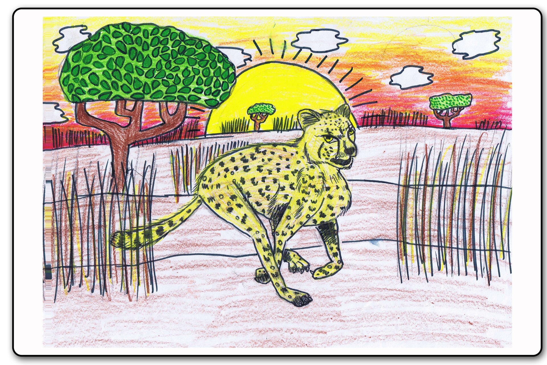 Ilustracja 12 galerii prac plastycznych uczniów. Ilustracja przedstawia geparda biegnącego przez sawannę na tle zachodzącego słońca. 