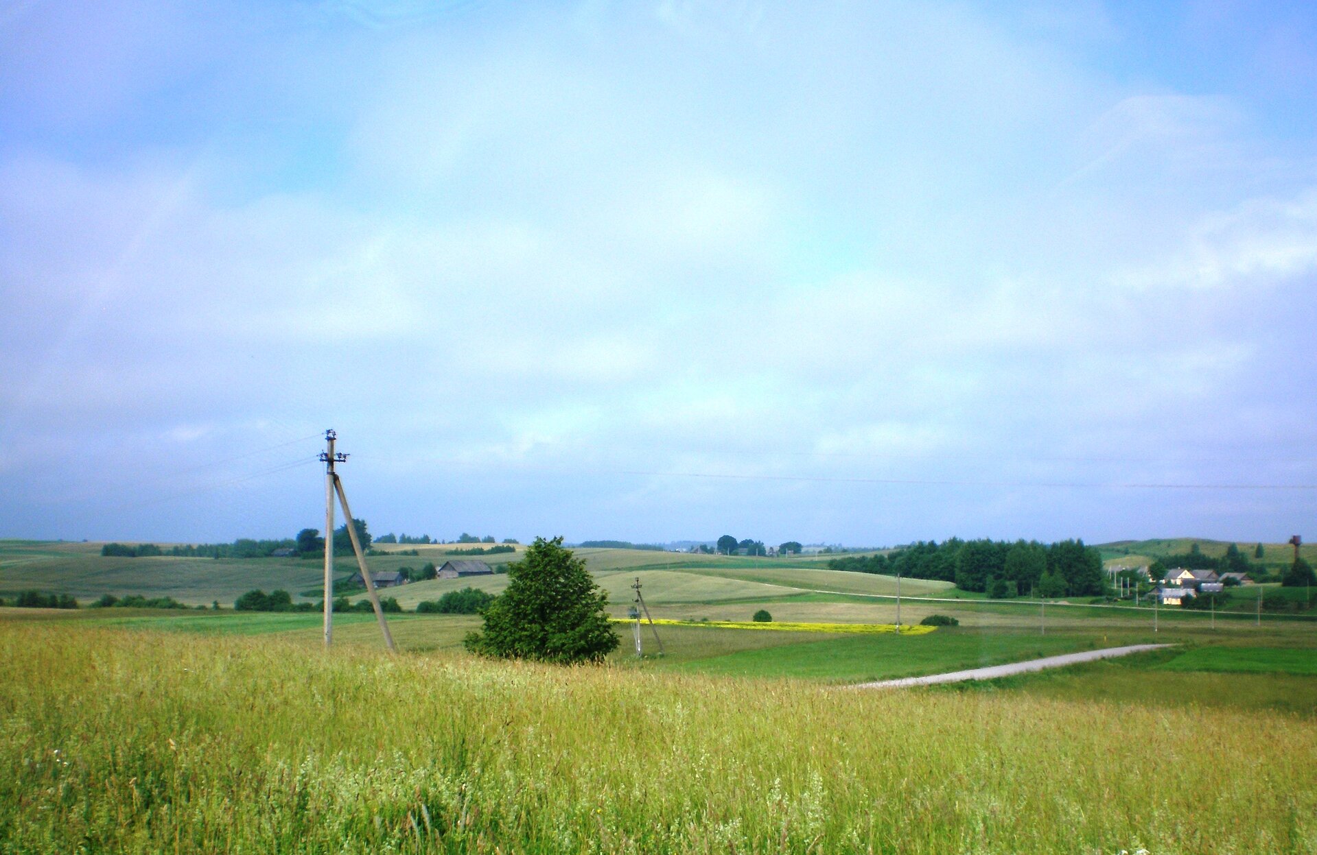 Na zdjęciu zielone łąki. Tereny płaskie, na nich pola uprawne, między nimi boczne drogi.