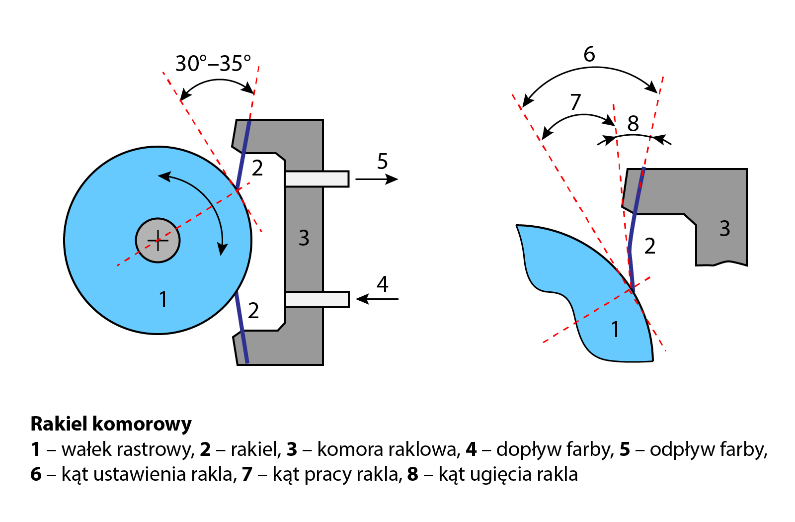 Schemat rakla komorowego