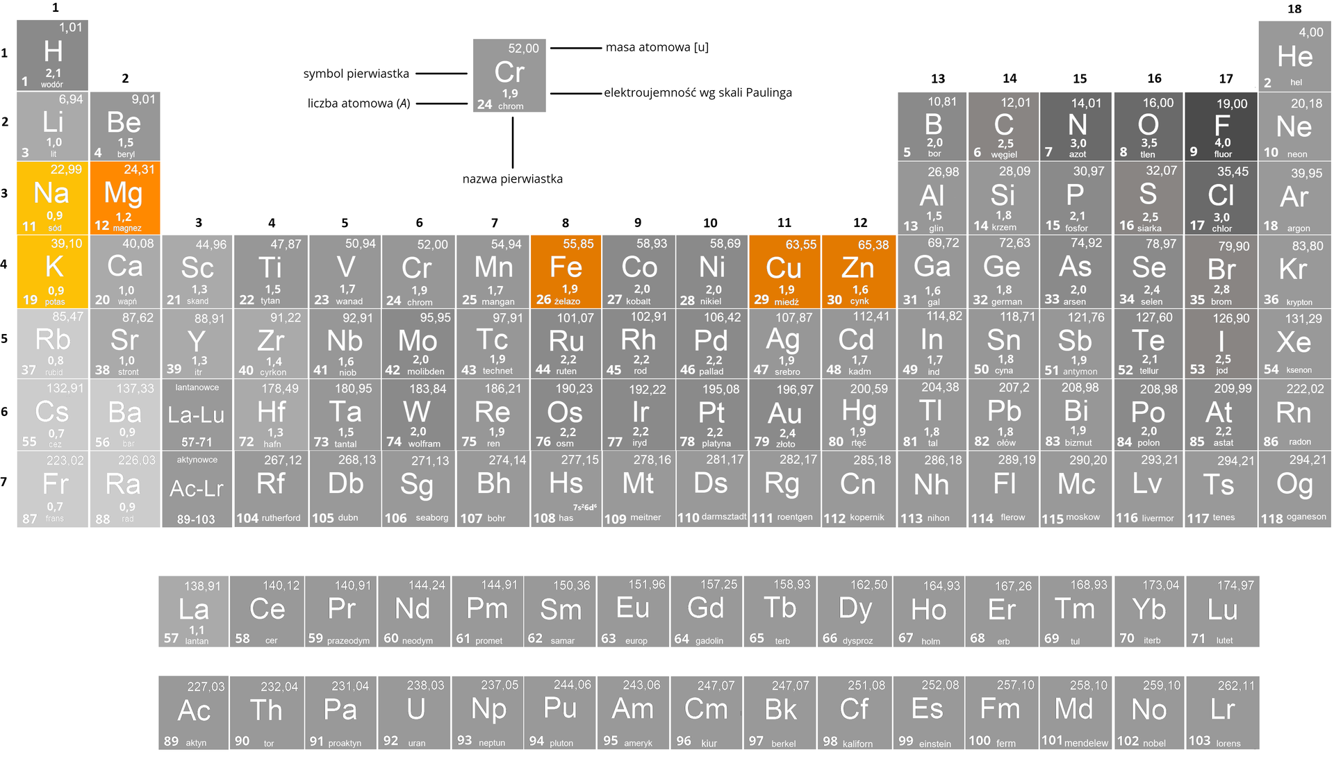 Ilustracja przedstawia układ okresowy pierwiastków. Wyróżniono: sód, potas, magnez, żelazo, miedź oraz cynk. Sód symbol <math aria‑label="en a">Na. Liczba atomowa 11, masa atomowa 22,99, elektroujemność według skali Paulinga 0,9. Sód leży w pierwszej grupie, w trzecim okresie, w bloku s. Potas symbol P. Liczba atomowa 19, masa atomowa 39,10, elektroujemność 0,9, pierwsza grupa, czwarty okres, blok s. Magnez, symbol <math aria‑label="em gie">Mg. Liczba atomowa 12, masa atomowa 24,31, elektroujemność 1,2, druga grupa, trzeci okres, blok s. Żelazo, symbol <math aria‑label="ef e">Fe. Liczba atomowa 26, masa atomowa 55,85, elektroujemność 1,9, czwarty okres, ósma grupa poboczna układu okresowego, należy do grupy metali przejściowych (bloku d). Miedź, symbol <math aria‑label="C u">Cu. Liczba atomowa 29, masa atomowa 63,55, elektroujemność 1,9, jedenasta grupa, czwarty okres, blok d. Cynk, symbol <math aria‑label="zet en">Zn. Liczba atomowa 30, masa atomowa 65,38, elektroujemność 1,6, dwunasta grupa, czwarty okres, blok d.