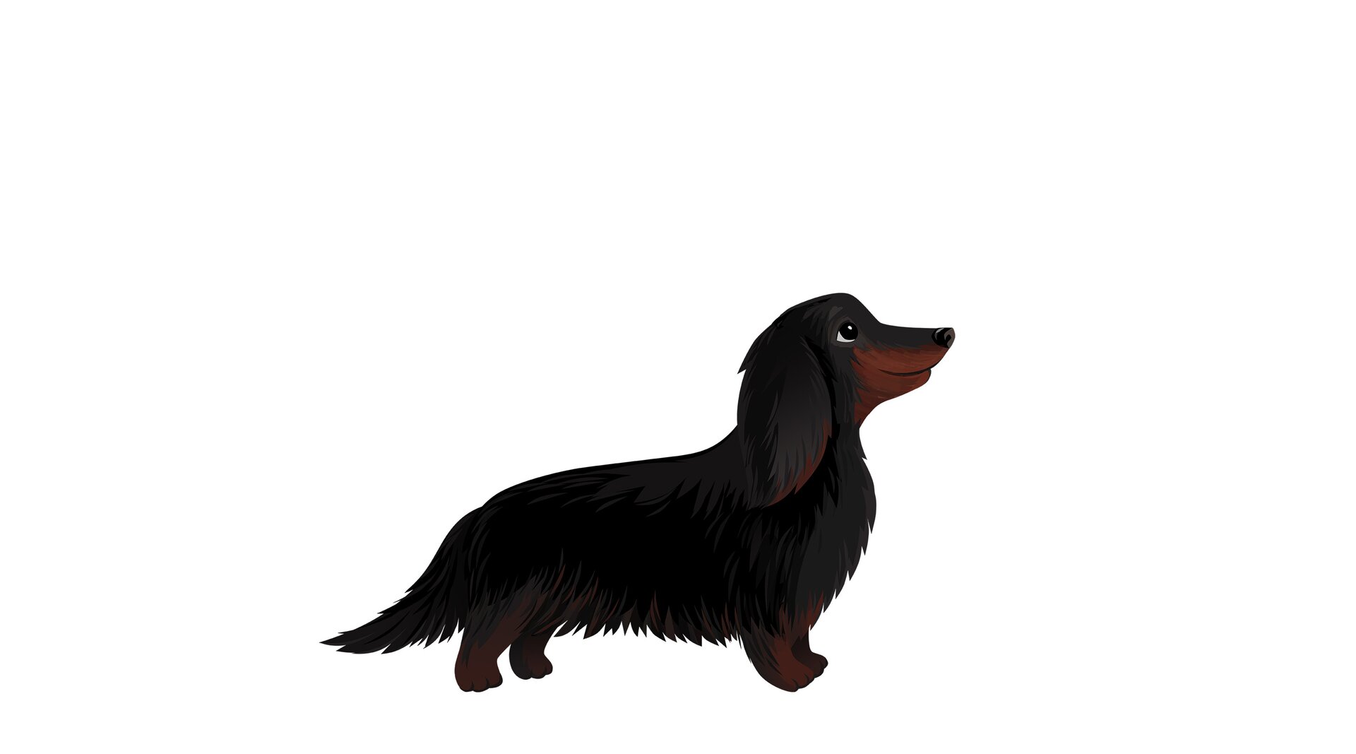 Na ilustracji znajduje się czarny pies.