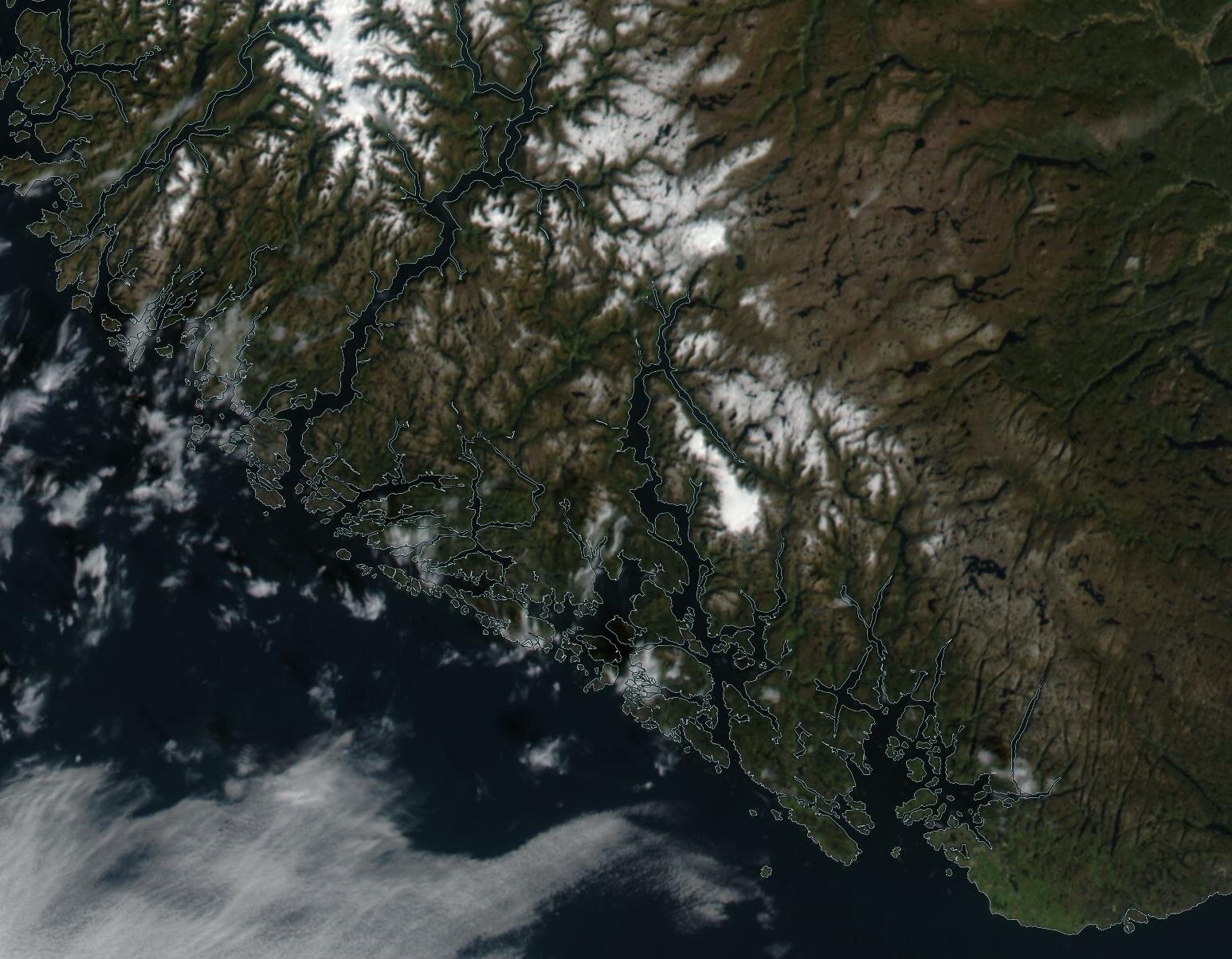 Zdjęcie satelitarne przedstawia teren ze wzniesieniami z wąskimi i długimi dolinami zalanymi wodą. Przypominają rozgałęzienia.