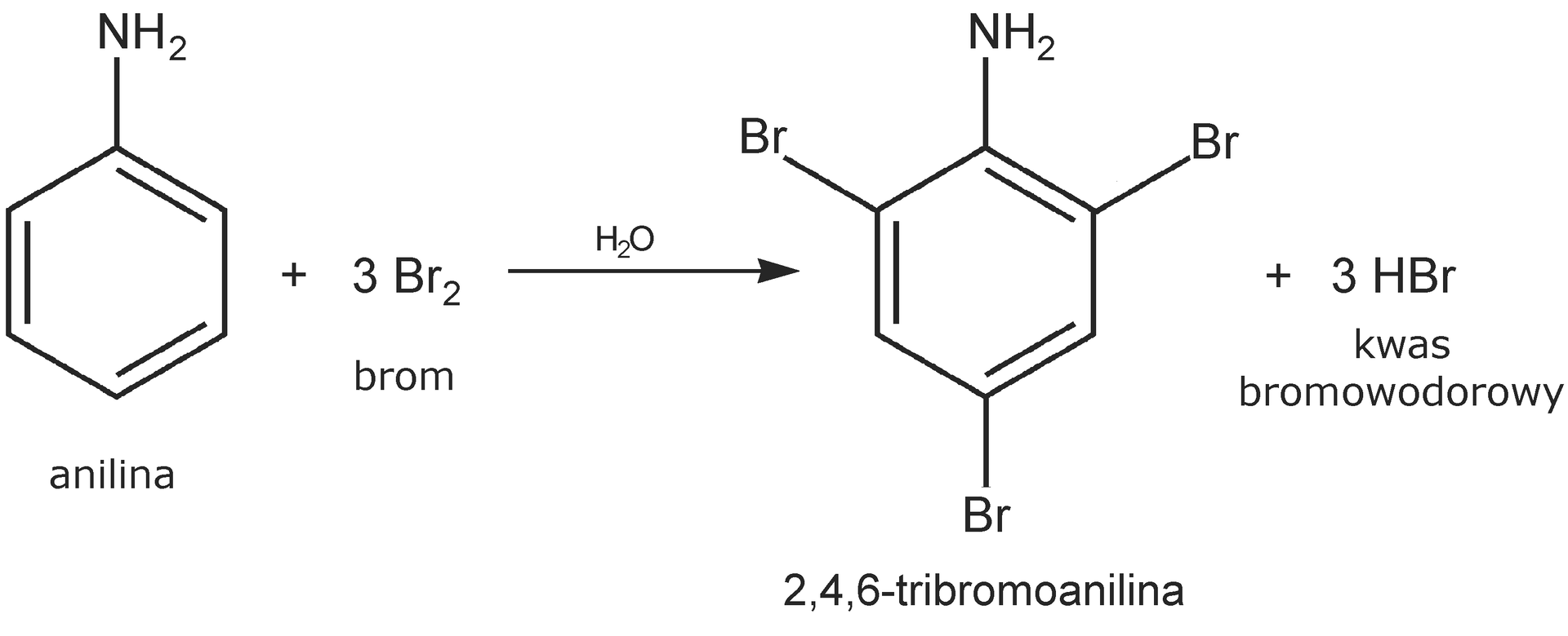Ilustracja przedstawia schemat reakcji bromowania aniliny. Cząsteczka aniliny zbudowana z sześcioczłonowego pierścienia aromatycznego z przyłączoną grupą aminową NH2. Dodać trzy cząsteczki bromu, strzałka w prawo, nad strzałką cząsteczka wody H2O. Za strzałką 2,4,6-tribromoaniliny, która to w pozycji drugiej, czwartej i szóstej jest podstawiona atomami bromu. Dodać trzy cząsteczki bromowodoru HBr.