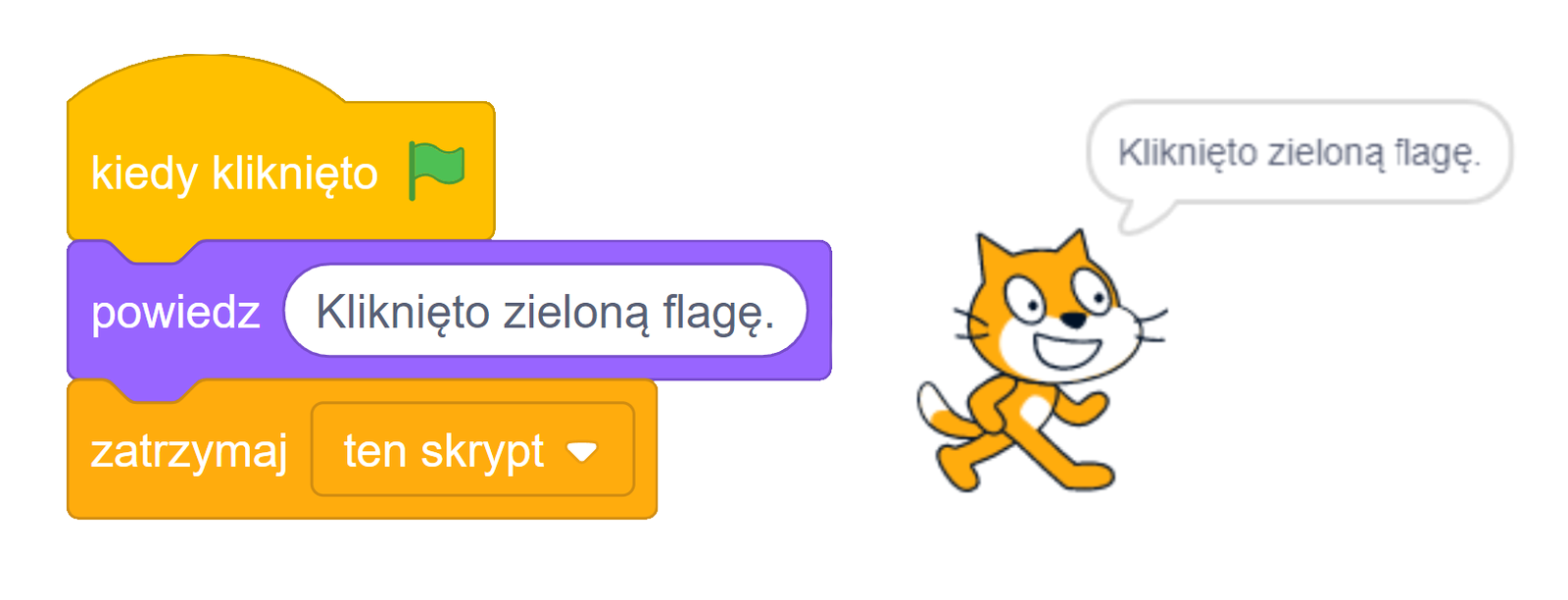 Na ekranie, po lewej stronie, znajduje się blok stworzony z trzech elementów. Na samej górze jest klocek z napisem ‘kiedy kliknięto’ i ikoną zielonej flagi. Poniżej znajduje się element z komendą ‘powiedz’. Obok tekstu w białym polu jest napisane ‘Kliknięto zieloną flagę’. Na samym dole jest klocek z napisem 'zatrzymaj ten skrypt', który kończy blok.
Po prawej stornie jest animacja kota‑duszka. Nad zwierzęciem widnieje okno dialogowe z napisem ‘Kliknięto zieloną flagę’.
