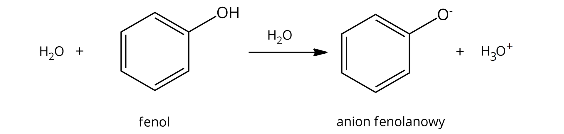 Na ilustracji jest równanie reakcji: jedna cząsteczka wody dodać jedna cząsteczka fenolu pod wpływem wody daje anion fenolanowy dodać jon hydroniowy.  
