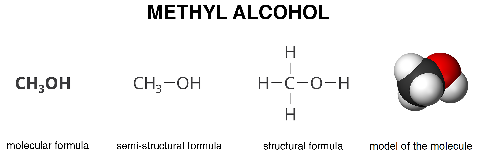 Grafika przedstawia wzory i modele cząsteczki alkoholu metylowego, methyl alcohol. Wzór sumaryczny, molecular formula to c ha trzy o ha. Wzór półstrukturalny, semi-structural formula to grupa c ha trzy po lewej stronie wiązania i grupa o ha po drugiej. Dalej grafika prezentuje wzór strukturalny, structural formula i model cząsteczkowy, model of molecule alkoholu metylowego.
