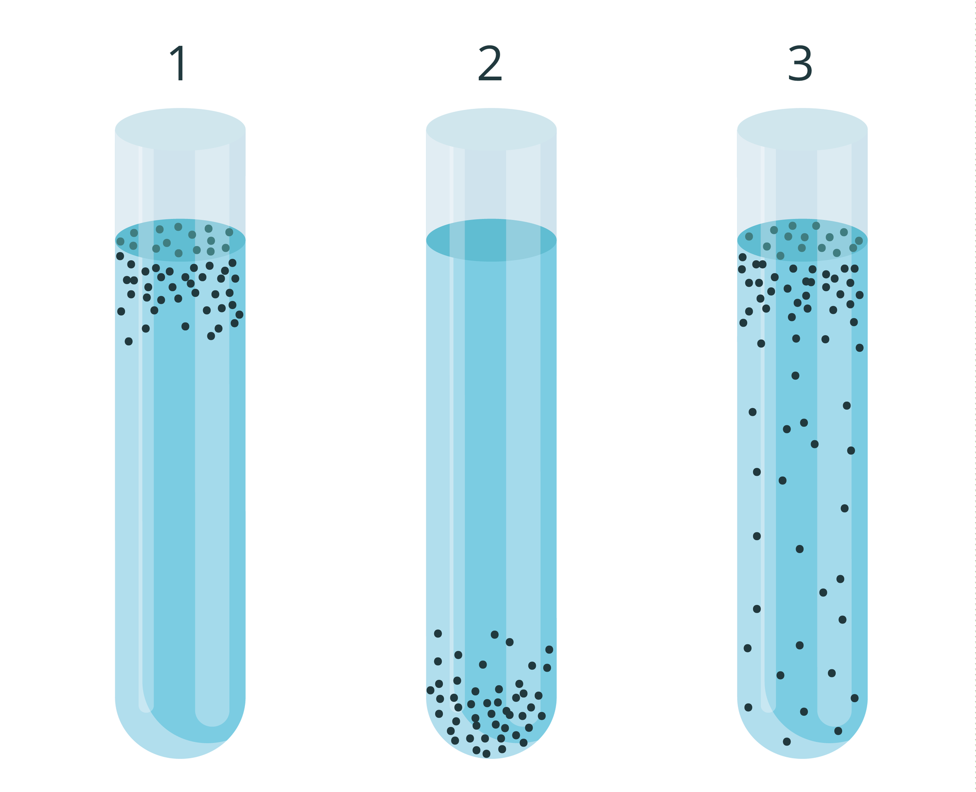 Ilustracja przedstawia trzy jasno szare naczynia laboratoryjne, czyli probówki. Znajduje się w nich błękitny płyn i czarne kropki, oznaczające bakterie. Probówki są oznaczone numerami od jeden do trzech. W pierwszej probówce bakterie są skupione u góry. W drugiej bakterie znajdują się na jej dnie. W trzeciej probówce bakterie są rozmieszczone w całym płynie, jednak większość skupia się pod powierzchnią.