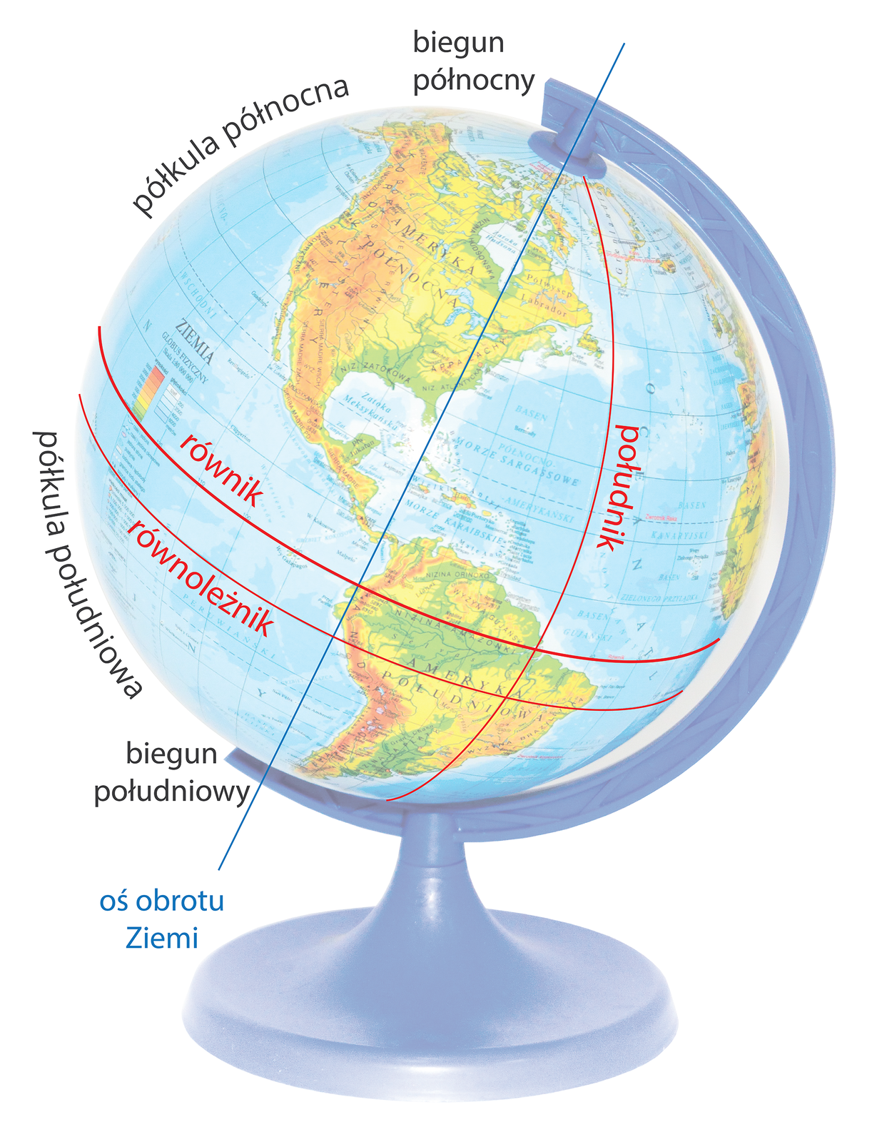Zdjęcie przedstawia globus z nałożoną siatką geograficzną. Zaznaczony jest równik, który dzieli planetę na półkulę północną i południową, południk, biegun północny, biegun południowy. Oś obrotu Ziemi jest nachylona.