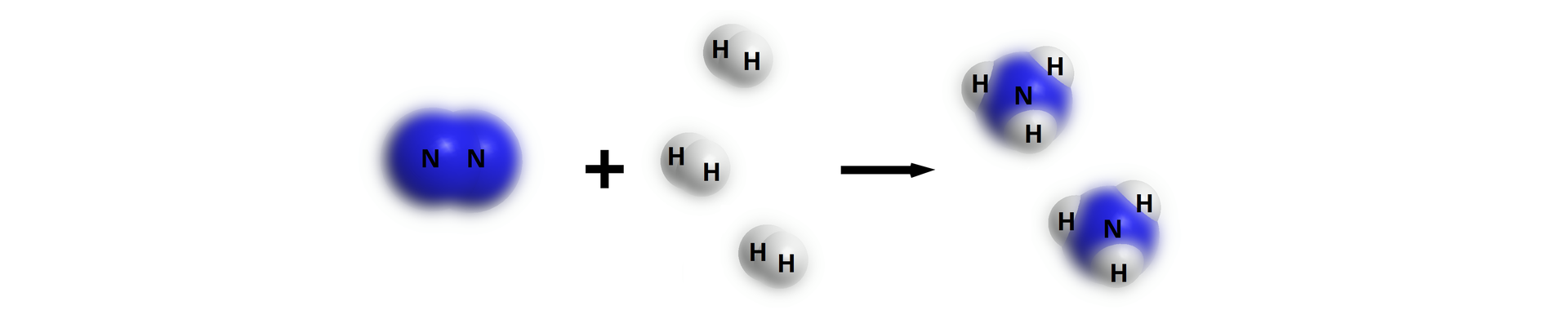 Graficzne ujęcie reakcji syntezy amoniaku z azotu i wodoru za pomocą modeli czaszowych cząsteczek azotu, wodoru i amoniaku. Niebieskim kolorem oznaczono atomy azotu, jasnoszarym kolorem oznaczono atomy wodoru. Po lewej stronie równania są połączone ze sobą dwie fioletowe kulki - to dwa atomy azotu dodać trzy oddzielne pary - po dwie połączone ze sobą białe kulki - atomy wodoru strzałka w prawo dwie cząsteczki amoniaku - każda zbudowana jest z jednej fioletowej kulki położonej centralnie i trzech połączonych z nią białych kulek.    