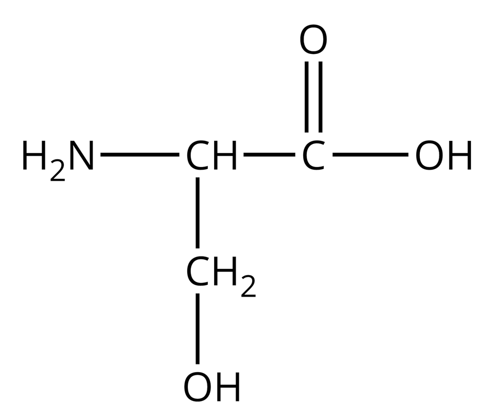 Wzór półstrukturalny seryny. Do grupy H indeks dolny, dwa, koniec indeksu dolnego, N z prawej strony przyłączona jest grupa C H. Od niej odchodzą dwa wiązania pojedyncze. Pierwsze skierowane jest w prawo do atomu węgla. Od niego odchodzą dwa wiązania: podwójne w górę, prowadzące do atomu tlenu i pojedyncze w prawo do grupy O H. Drugie wiązanie odchodzące od grupy C H skierowane jest w dół i łączy się z grupą C H indeks dolny, dwa, koniec indeksu dolnego, od której odchodzi pojedyncze wiązanie w dół do grupy O H.