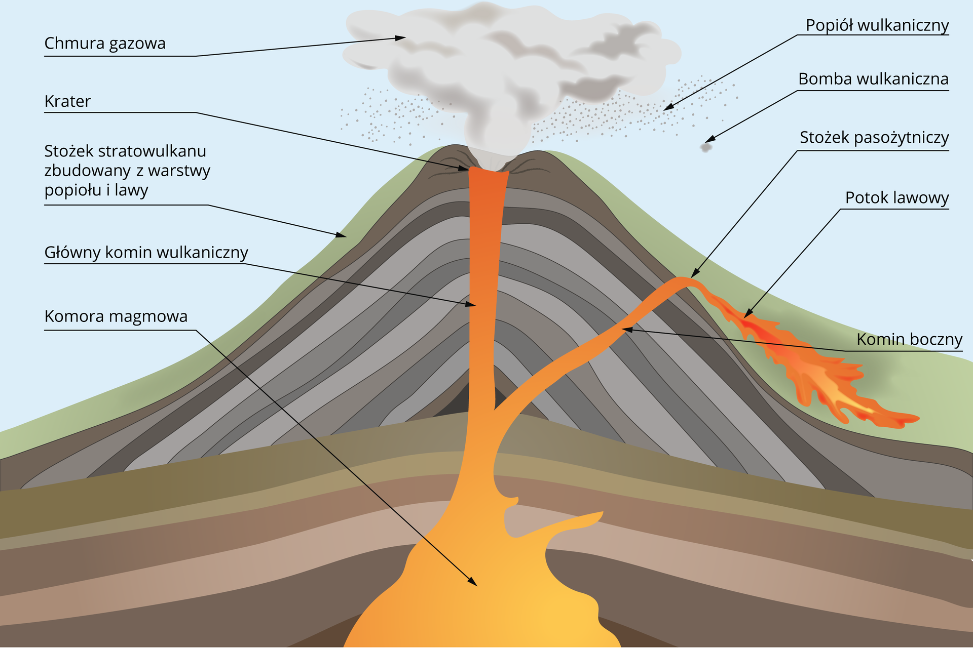 Schemat przedstawia budowę stratowulkanu. Jest to stożek, na którego szczycie znajduje się krater. Wydobywa z niego się chmura gazowa oraz popiół wulkaniczny, a także bomby wulkaniczne. Poniżej krateru, wewnątrz wzniesienia wulkanicznego znajduje się pionowy, główny komin wulkaniczny wypełniony lawą i magmą wypływającą z wnętrza ziemi. Z kolei na zboczach wulkanu znajduje się warstwa wierzchnia - stożek stratowulkanu zbudowany z warstwy popiołu i lawy. Pod ziemią u podstawy komina jest komora magmowa, która stopniowo się rozszerza. Od komina głównego w bok odchodzi rozgałęzienie czyli komin boczny. W miejscu gdzie komin boczny wychodzi na powierzchnię znajduje się stożek pasożytniczy. Od niego lawa spływa zboczem wulkanu: jest to potok lawowy.