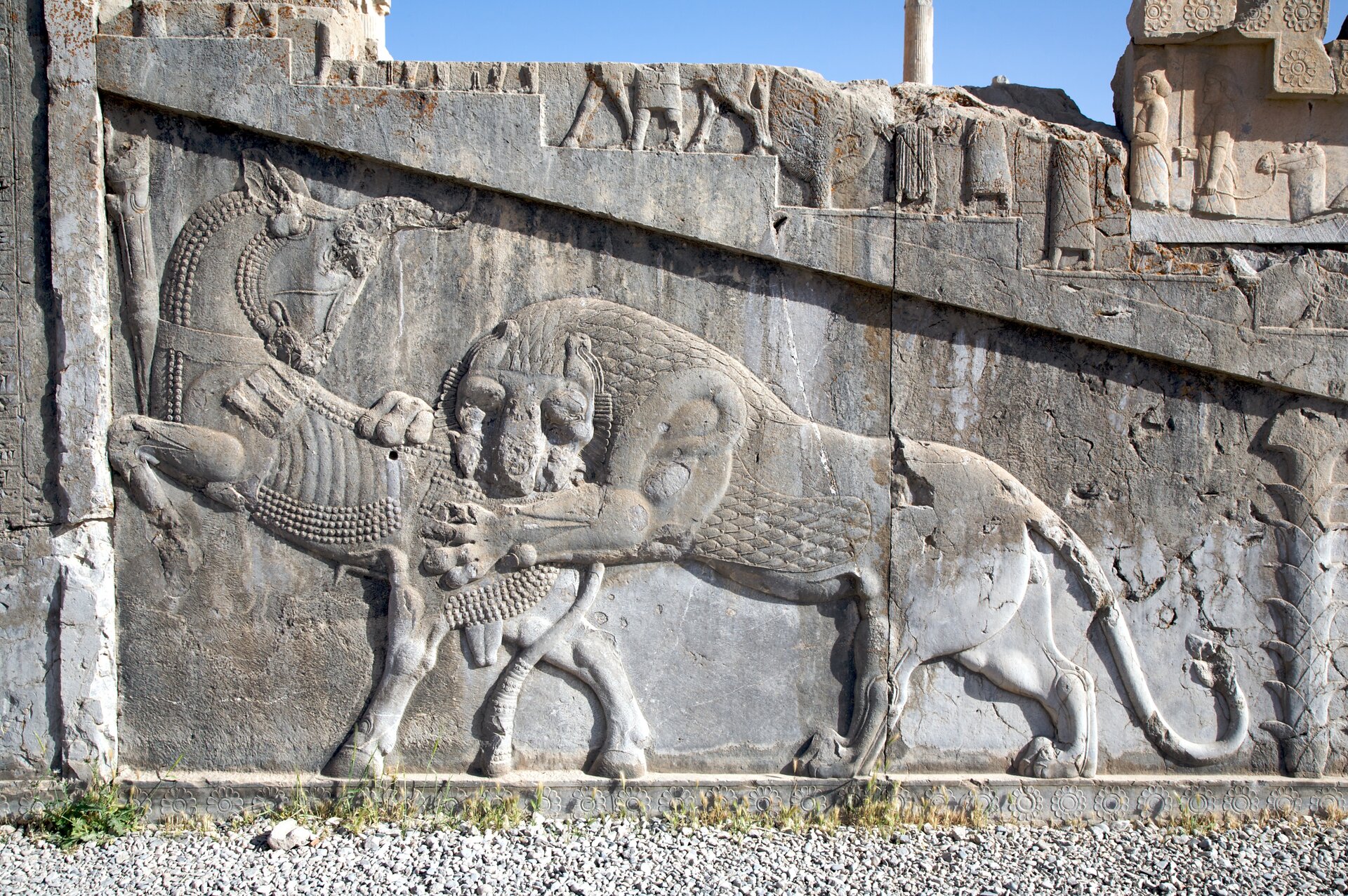 Ilustracja przedstawia płaskorzeźbę na kamiennej ścianie stanowiącej fragment monumentalnej rezydencji królewskiej w Persepolis. Rzeźba przedstawia wielkiego perskiego lwa atakującego asyryjskiego byka. Lew wspięty na tylnych łapach, przednimi chwyta za zad byka. Zaatakowane zwierzę stojąc na tylnych nogach, odwraca łeb w stronę atakującego lwa. Powyżej widać niewielki fragment innej płaskorzeźby na której uwidocznione są postacie ludzkie.