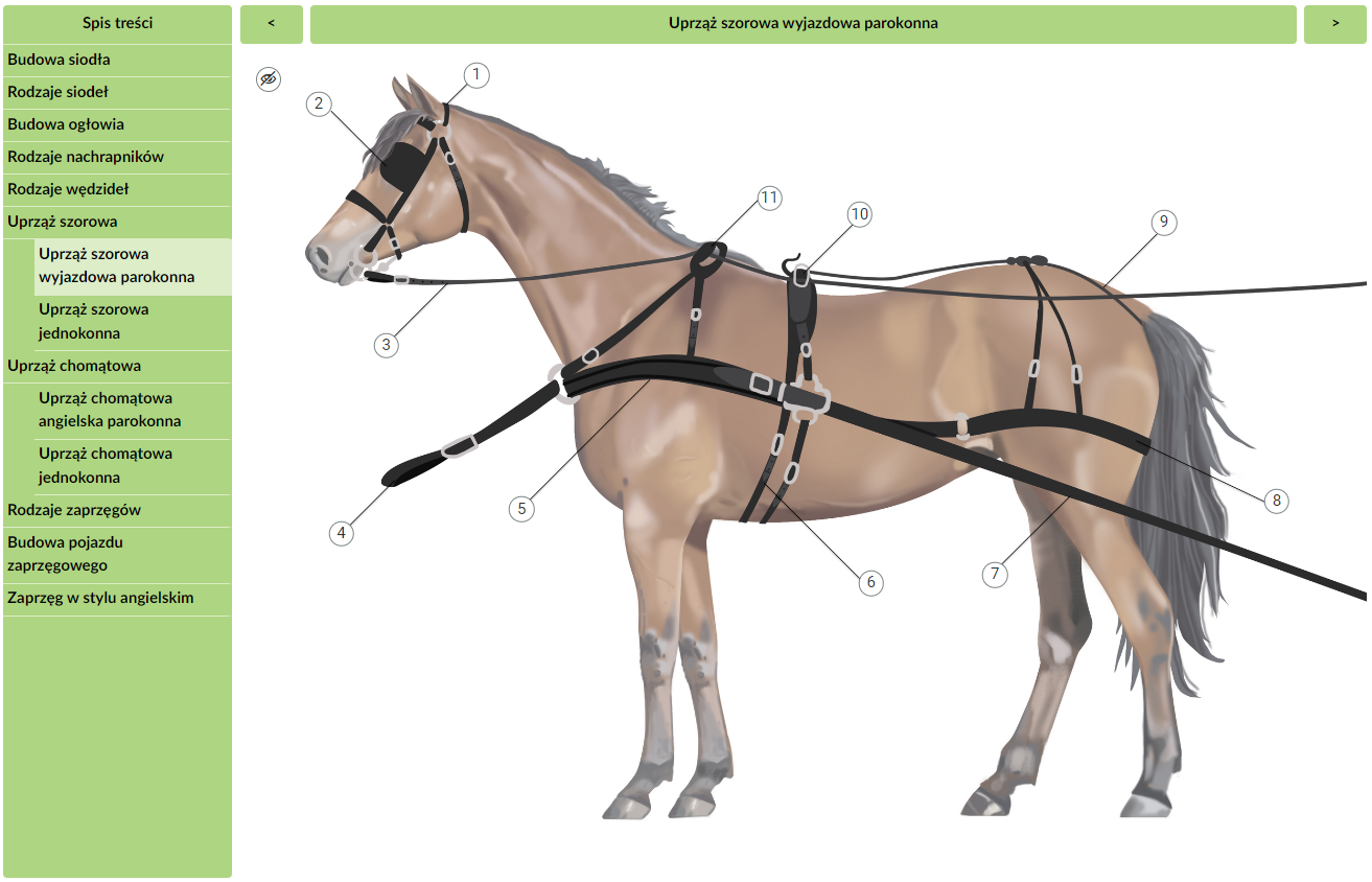 Grafika przedstawia przykładowy widok atlasu interaktywnego zawierającego interaktywne plansze. Po lewej stronie w rubryce znajduje się spis treści. Przedstawiono w nim tytuły katalogów zawartych w danym atlasie. Po prawej stronie ekranu widoczny jest tytuł wybranego katalogu. Na środku ekranu znajduje się plansza interaktywna przedstawiająca uprząż szorową wyjazdową parokonną.