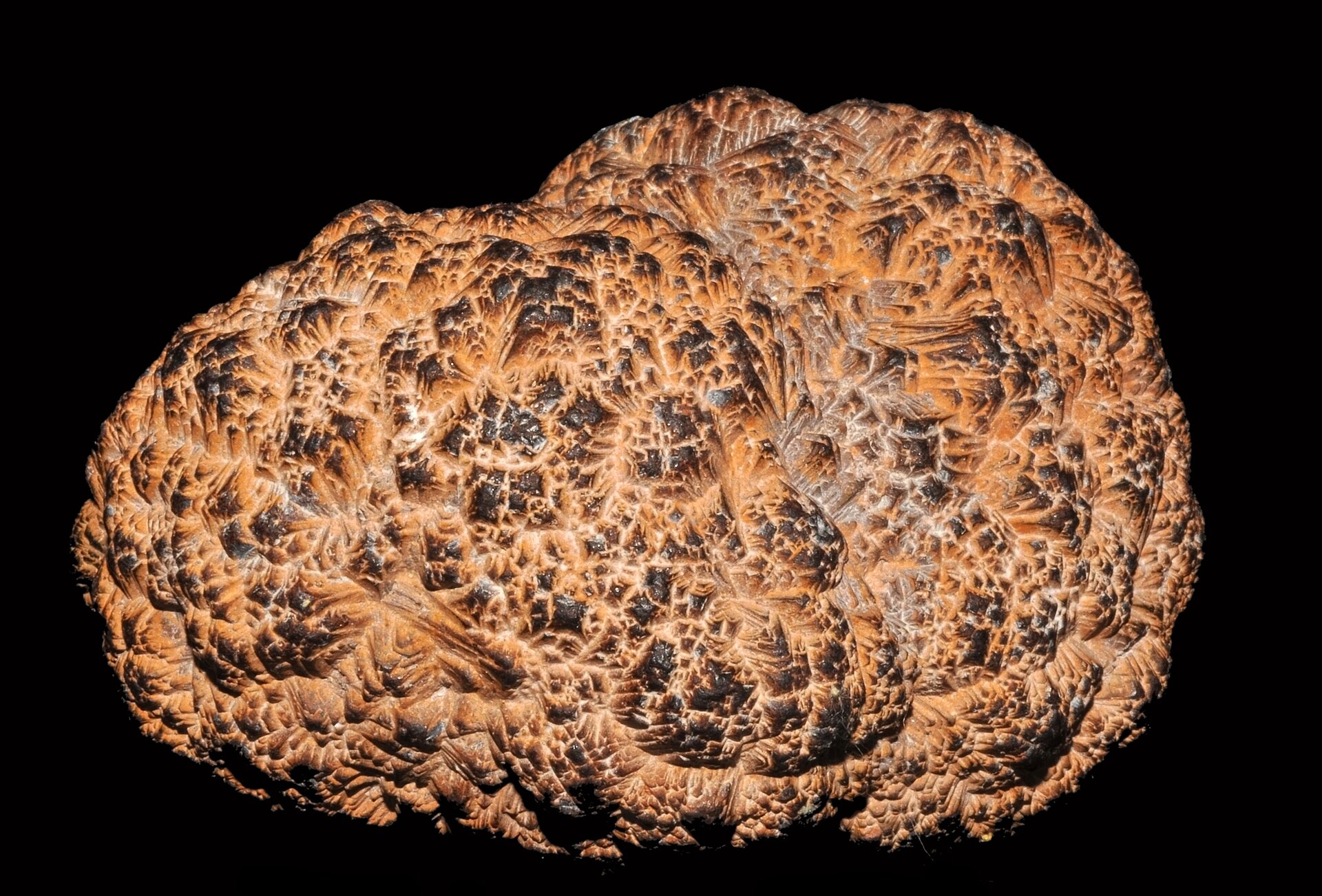 Na zdjęciu pomarańczowa bryła o wyglądzie kamienia o porowatej powierzchni.