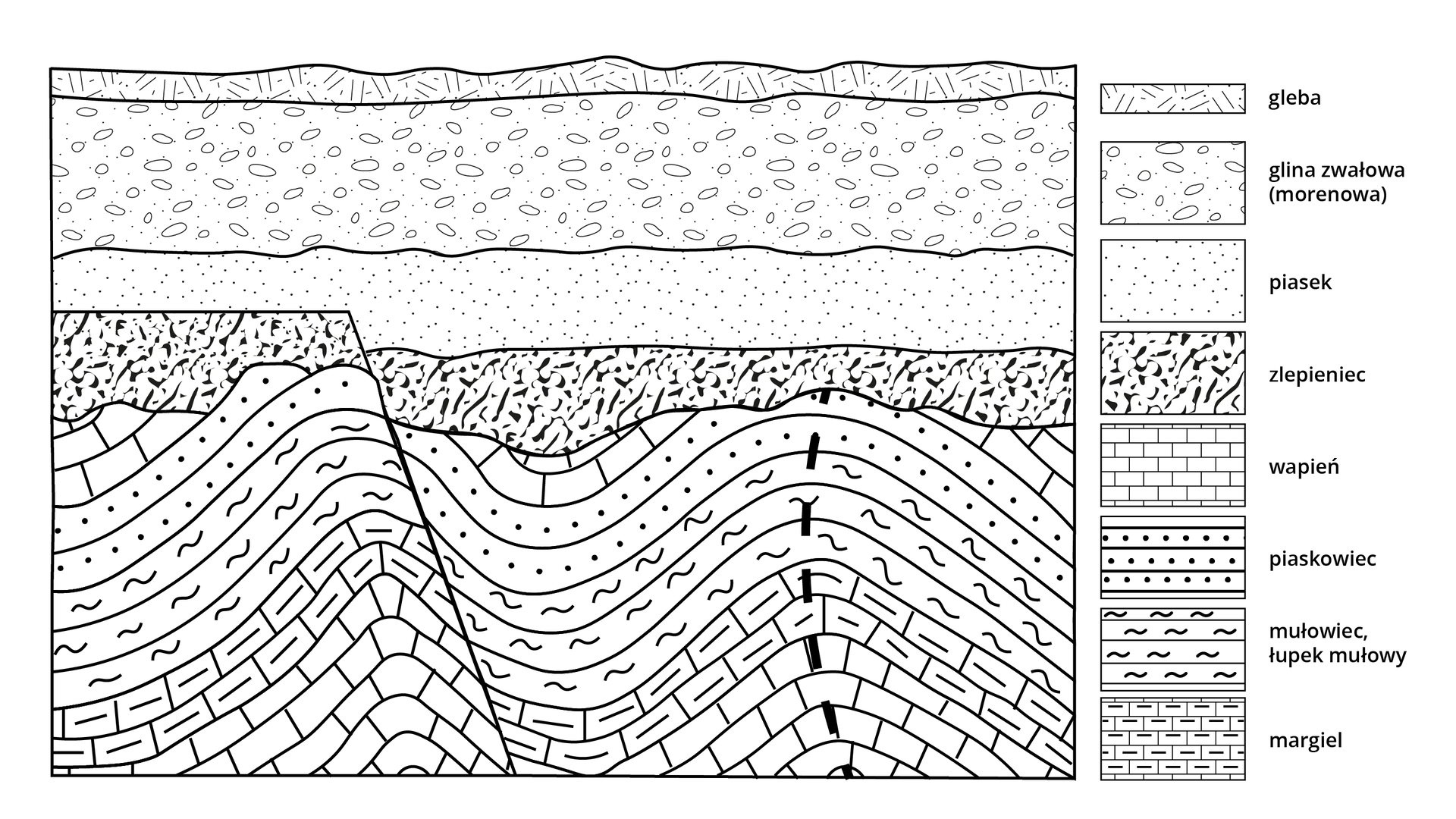 Grafika przedstawia przekrój geologiczny. Od dołu znajdują się wapienie, margle, mułowiec i łupek mułowy, piaskowiec, wapienie, zlepieniec. Przez te warstwy przebiega uskok. Wyżej jest nienaruszona warstwa piasku, gliny zwałowej morenowej oraz gleby.