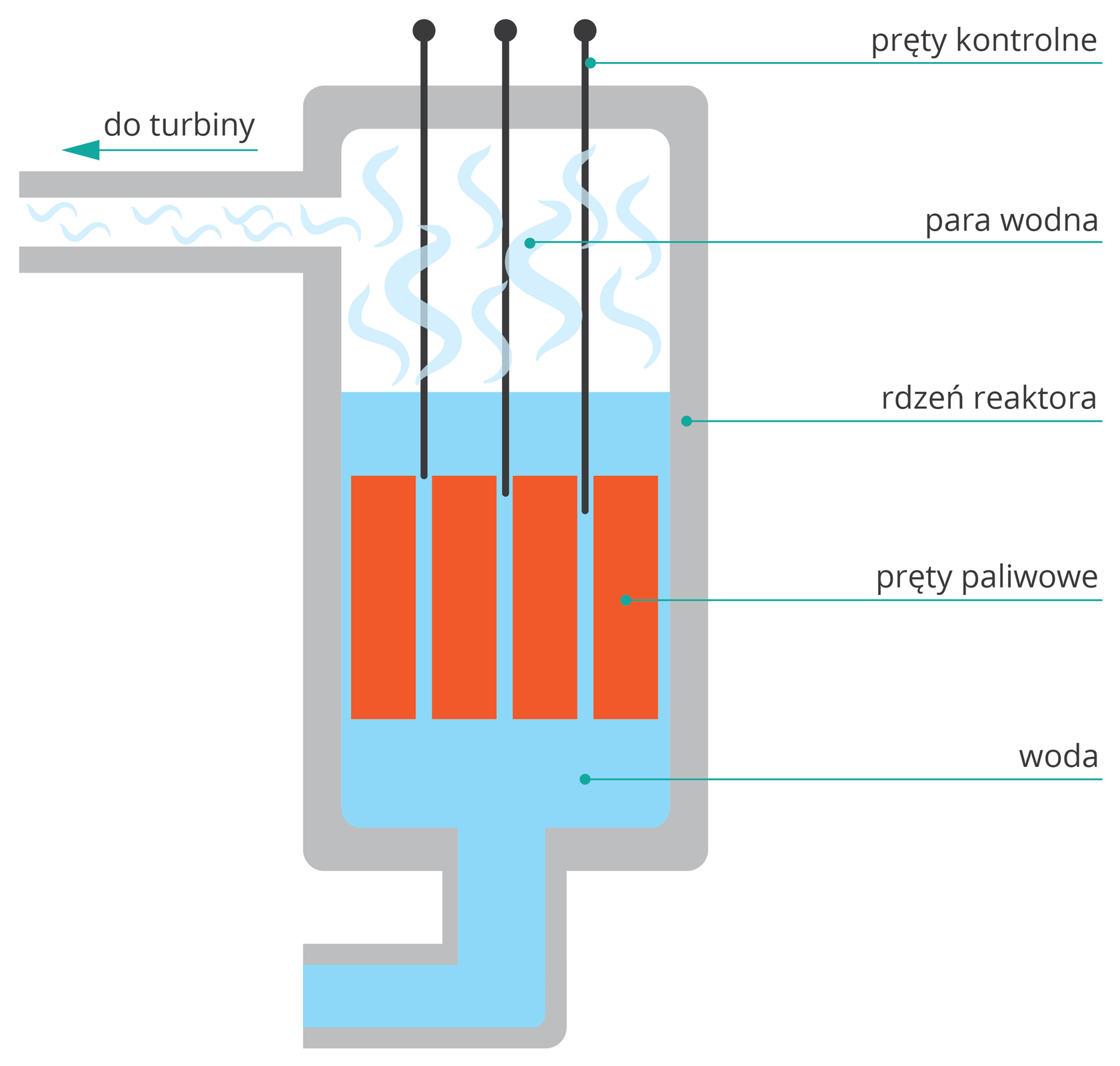 Ilustracja przedstawia uproszczony schemat rdzenia reaktora. W centralnej części rysunku zbiornik rdzenia, wypełniony w dużej części wodą. Od dołu poprowadzone dojście wody. W dolnej części zbiornika znajdują się pręty paliwowe, całe zanurzone w wodzie. Pomiędzy prętami paliwowymi znajdują się pręty kontrolne, wystające powyżej poziomu wody i nad cały zbiornik rdzenia. Nad wodą para, która jest odprowadzana do turbin.