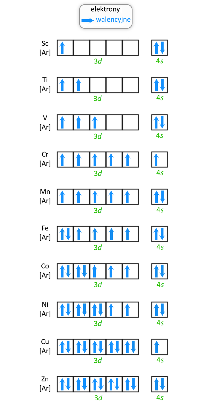 Ilustracja przedstawiająca konfiguracje elektronowe atomów metali bloku d czwartego okresu w stanie podstawowym w zapisie klatkowym. Elektrony walencyjne w poszczególnych klatkach zaznaczono niebieskimi strzałkami, w przypadku niesparowanego elektronu zaznaczono pionową strzałkę skierowaną do góry, zaś w przypadku sparowanych elektronów dwie strzałki, z których jedna skierowana jest do góry, zaś druga do dołu. Dla skandu Sc skrócony zapis klatkowy jest następujący: Ar narysowano pięć klatek dla podpowłoki 3d, w pierwszej klatce znajduje się jeden niesparowany elektron, obok narysowano jedną klatkę dla podpowłoki 4s, w której znajdują się dwa sparowane elektrony. Dla tytanu Ti skrócony zapis klatkowy jest następujący: Ar, obok narysowanych pięć klatek dla podpowłoki 3d, w pierwszej oraz w drugiej klatce znajduje się po jednym niesparowanym elektronie, obok narysowano jedną klatkę dla podpowłoki 4s, w której znajdują się dwa sparowane elektrony. Dla wanadu V skrócony zapis klatkowy jest następujący: Ar, obok narysowanych pięć klatek dla podpowłoki 3d, w pierwszej w drugiej oraz w trzeciej klatce znajduje się po jednym niesparowanym elektronie, obok narysowano jedną klatkę dla podpowłoki 4s, w której znajdują się dwa sparowane elektrony. Dla chromu Cr skrócony zapis klatkowy jest następujący: Ar, obok narysowanych pięć klatek dla podpowłoki 3d, we wszystkich pięciu klatkach znajduje się po jednym niesparowanym elektronie, obok narysowano jedną klatkę dla podpowłoki 4s, w której również znajduje się jeden niesparowany elektron. Dla manganu Mn skrócony zapis klatkowy jest następujący: Ar, obok narysowanych pięć klatek dla podpowłoki 3d, we wszystkich pięciu klatkach znajduje się po jednym niesparowanym elektronie, obok narysowano jedną klatkę dla podpowłoki 4s, w której znajdują się dwa sparowane elektrony. Dla żelaza Fe skrócony zapis klatkowy jest następujący: Ar, obok narysowanych pięć klatek dla podpowłoki 3d, w pierwszej klatce znajdują się dwa sparowane elektrony, w pozostałych czterech po jednym niesparowanym elektronie. Dalej narysowano jedną klatkę dla podpowłoki 4s, w której znajdują się dwa sparowane elektrony. Dla kobaltu Co skrócony zapis klatkowy jest następujący: Ar, obok narysowanych pięć klatek dla podpowłoki 3d, w pierwszej oraz drugiej klatce znajdują się po dwa sparowane elektrony, w pozostałych trzech po jednym niesparowanym elektronie. Dalej narysowano jedną klatkę dla podpowłoki 4s, w której znajdują się dwa sparowane elektrony. Dla niklu Ni skrócony zapis klatkowy jest następujący: Ar, obok narysowanych pięć klatek dla podpowłoki 3d, w pierwszej, w drugiej oraz w trzeciej klatce znajdują się po dwa sparowane elektrony, w pozostałych dwóch po jednym niesparowanym elektronie. Dalej narysowano jedną klatkę dla podpowłoki 4s, w której znajdują się dwa sparowane elektrony. Dla miedzi Cu skrócony zapis klatkowy jest następujący: Ar, obok narysowanych pięć klatek dla podpowłoki 3d, we wszystkich pięciu znajdują się po dwa sparowane elektrony. Dalej narysowano jedną klatkę dla podpowłoki 4s, w której znajduje się jeden niesparowany elektron. Dla cynku <math aria‑label="zet en">Zn skrócony zapis klatkowy jest następujący: Ar, obok narysowanych pięć klatek dla podpowłoki 3d, we wszystkich pięciu znajdują się po dwa sparowane elektrony. Dalej narysowano jedną klatkę dla podpowłoki 4s, w której znajdują się dwa sparowane elektrony.