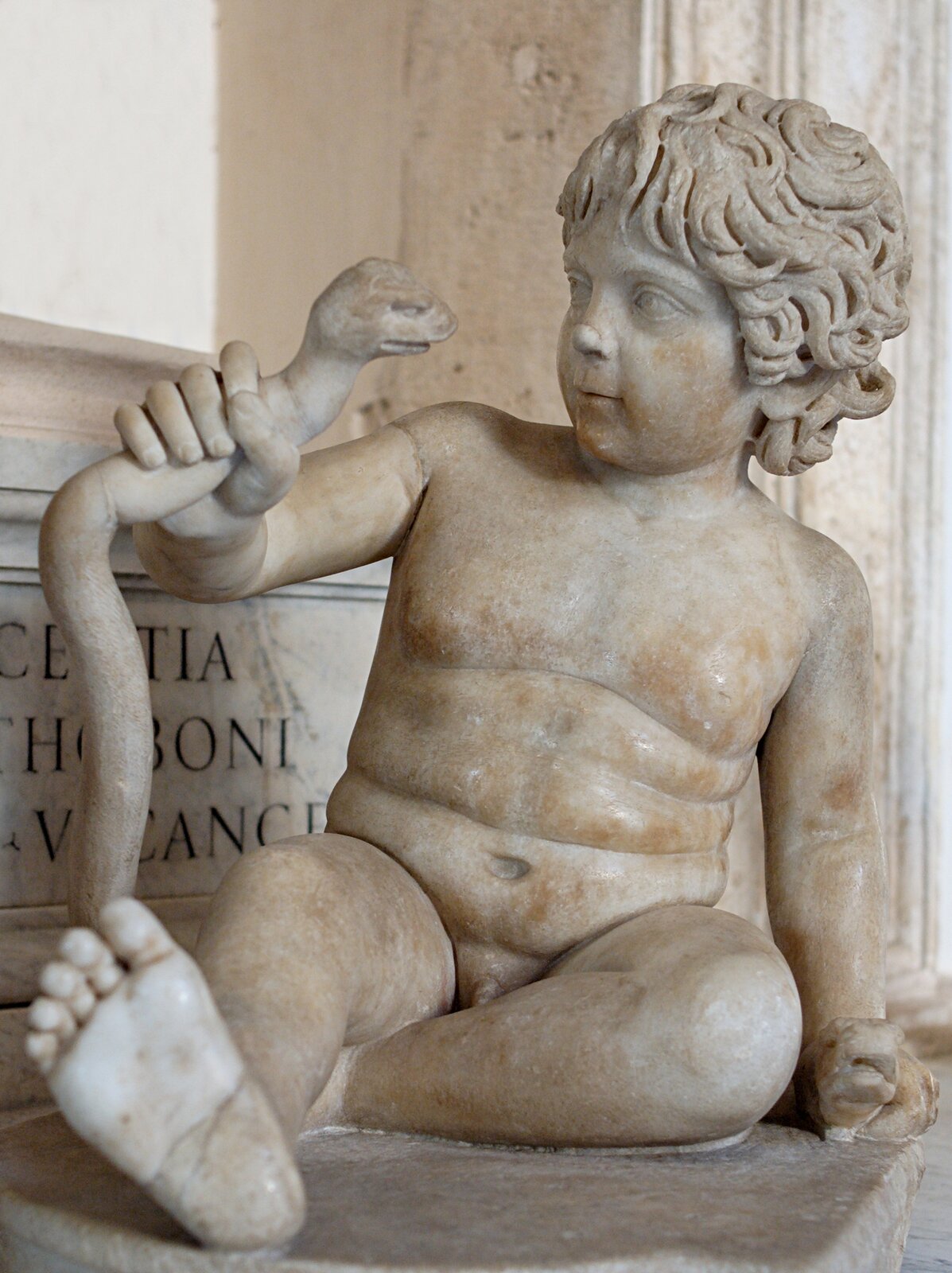 Rzeźba nieznanego autora wykonana została z jasnego kamienia. Przedstawia Herkulesa pokazanego jako małego, nagiego chłopca o kręconych włosach. Jedną dłonią opiera się o podłożę, a drugą trzyma i poddusza węża. W tle widoczne są ściany oraz łacińska inskrypcja. 
