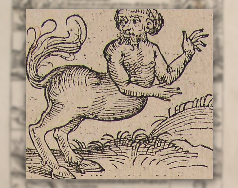 Ilustracja przedstawiająca mężczyznę, którego dolna połowa ciała pochodzi od konia.