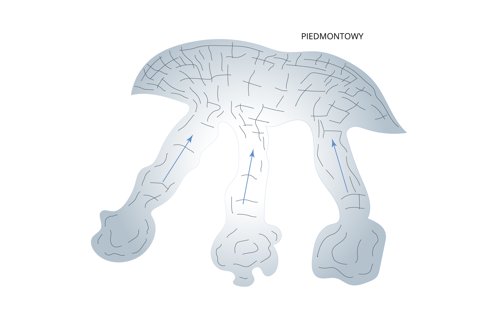 Ilustracja przedstawia lodowiec typu piedmontowego. Tworzy go rozległa pokrywa lodowa na przedpolu masywu górskiego. Pokrywa utworzona jest w wyniku połączenia się jęzorów lodowców wypływających z odrębnych pól firnowych.