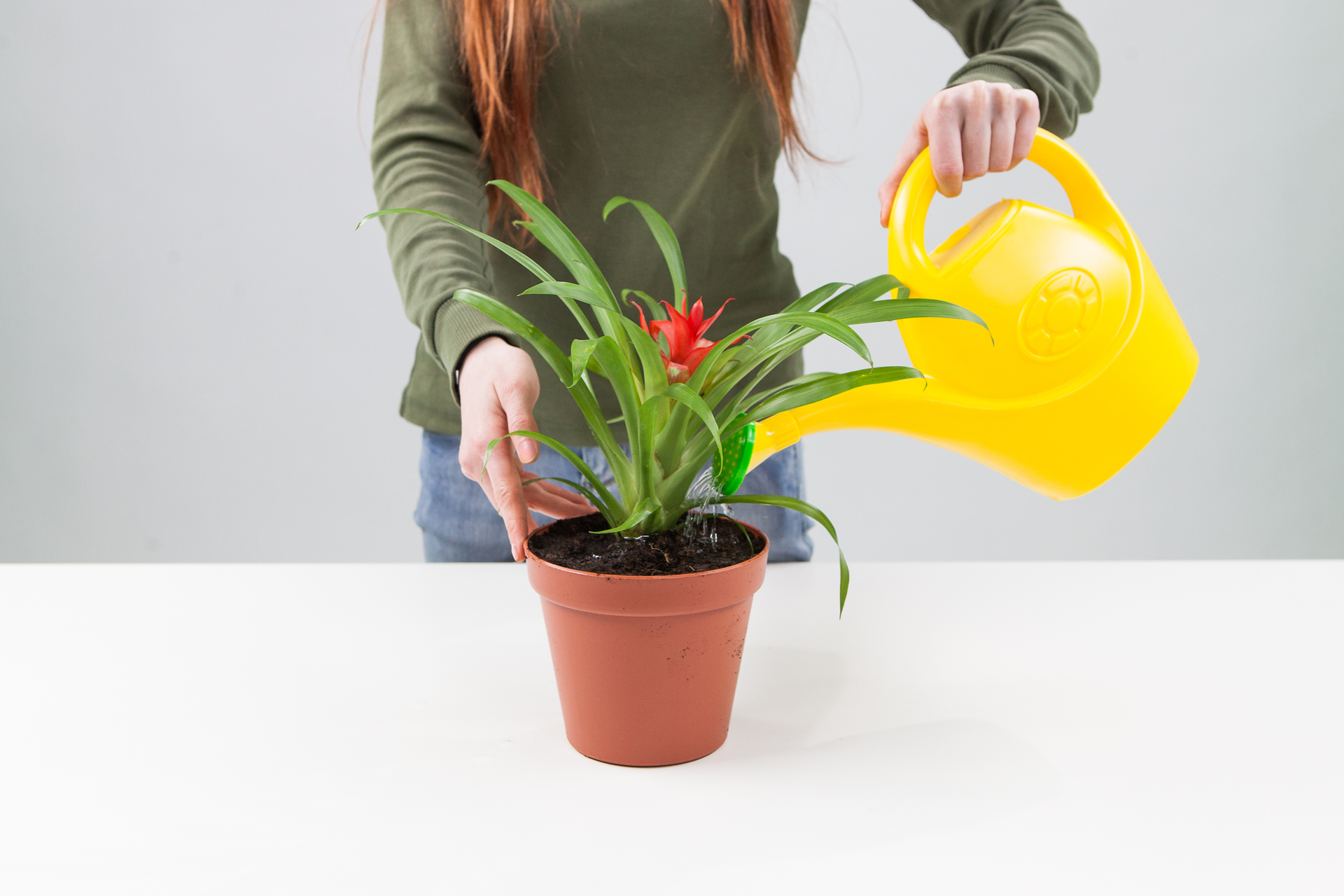 Slajd 7 – posadzona roślina w doniczce zostaje podlana przez demonstratora.