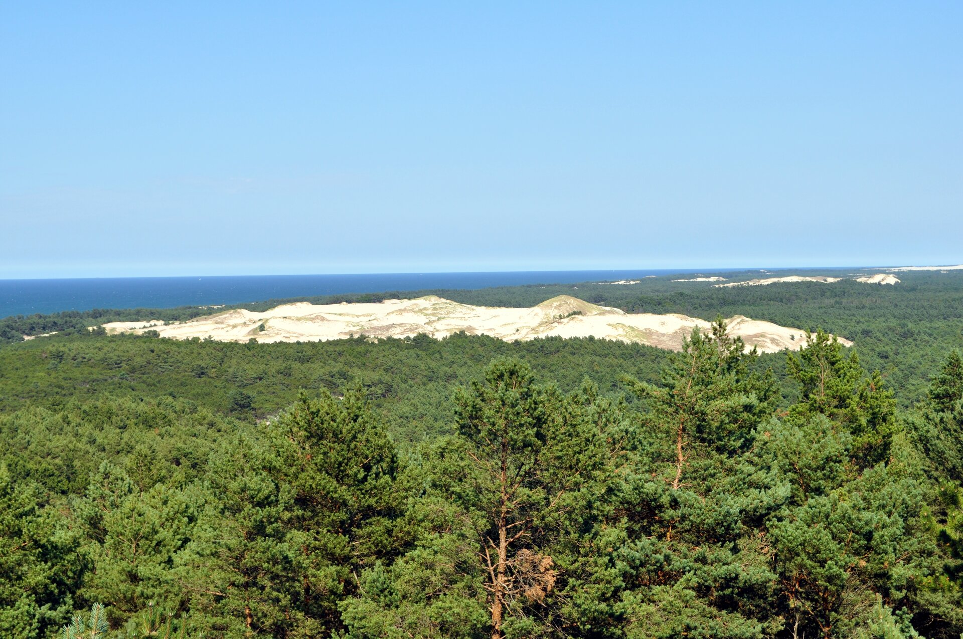 Zdjęcie przedstawia widok na zalesiony obszar. Na pierwszym planie widoczny jest las, dokładniej widok na korony drzew. W tle wybija się piaszczysty obszar. Jest to rozległa formacja utworzona z jasnego piasku. Za nią dalsza część lasu i inne podobne formy. Za lasem znajduje się zbiornik wodny. 