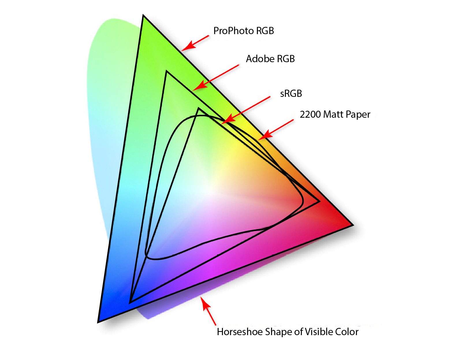 Grafika przedstawia zestawienie profili barw w odniesieniu do barw widzialnych. W zestawieniu profili barw zostały uwzględnione następujące profile: ProPhoto RGB, Adobe RGB, sRGB, 2200 Matt Paper.